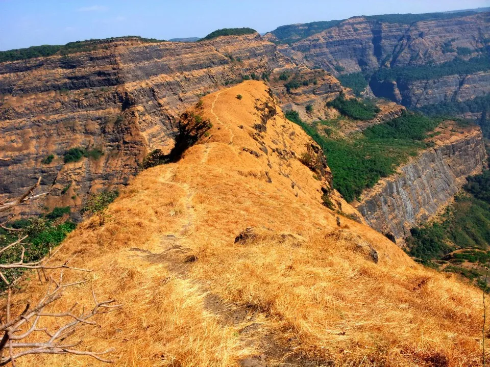 Dry golden grass ridge on Siddhagad with layered basalt cliffs and green valleys of the Sahyadri behind