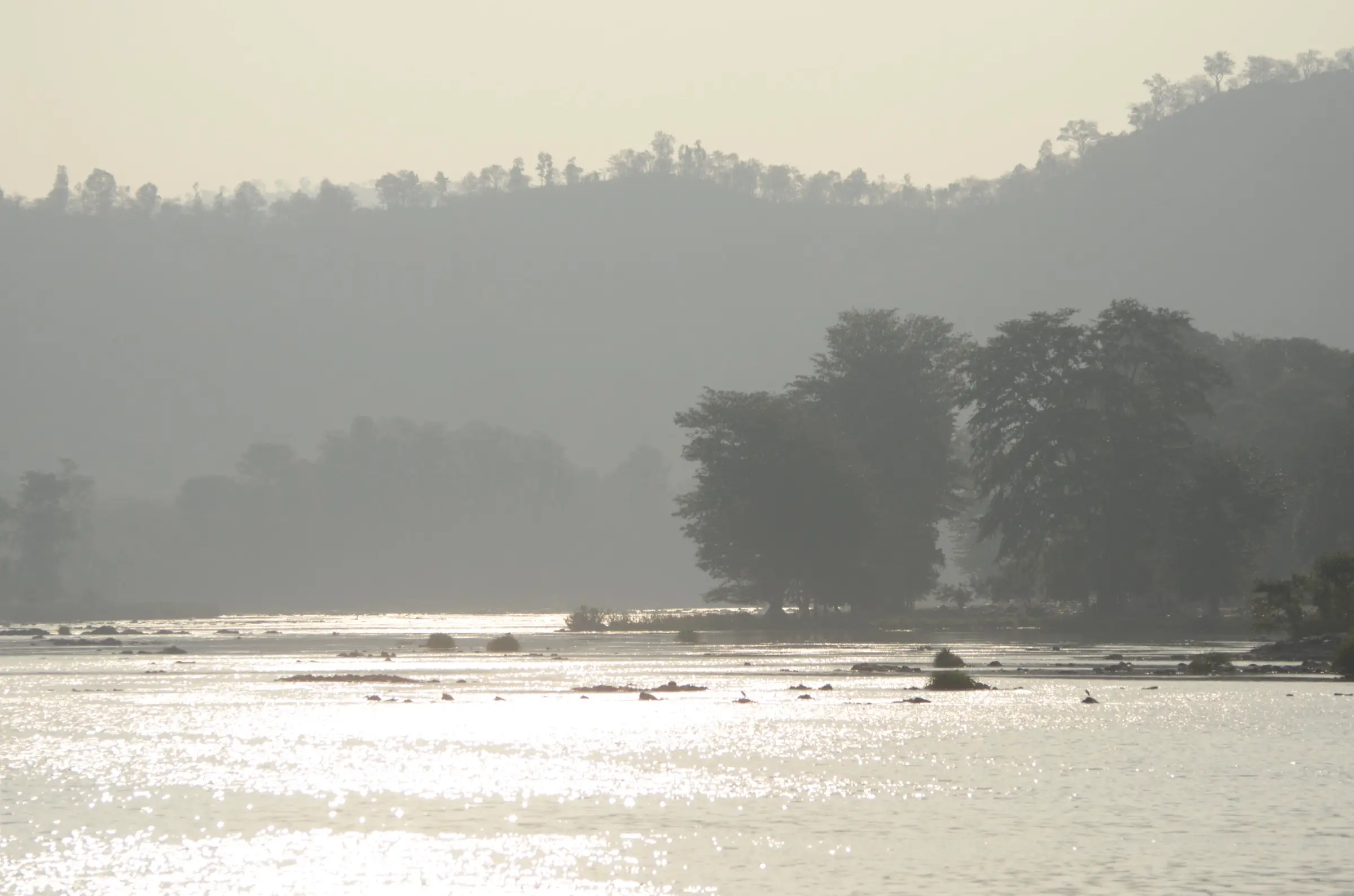 Morning haze over the wide, rocky Kaveri near Biligundlu, with tall riverside trees and forested hills behind