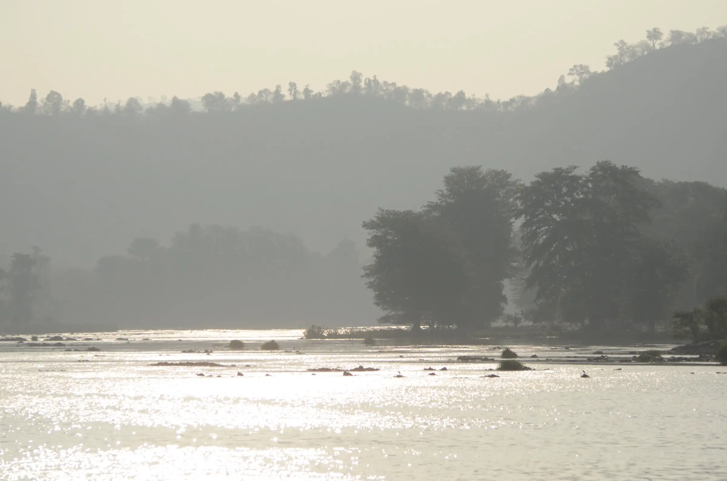 Morning haze over the wide, rocky Kaveri near Biligundlu, with tall riverside trees and forested hills behind