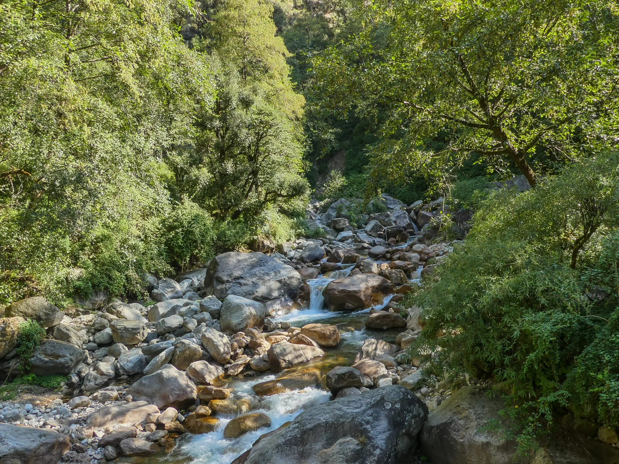 Clear stream tumbling over boulders through dense green forest on the trail below Anusuya Devi