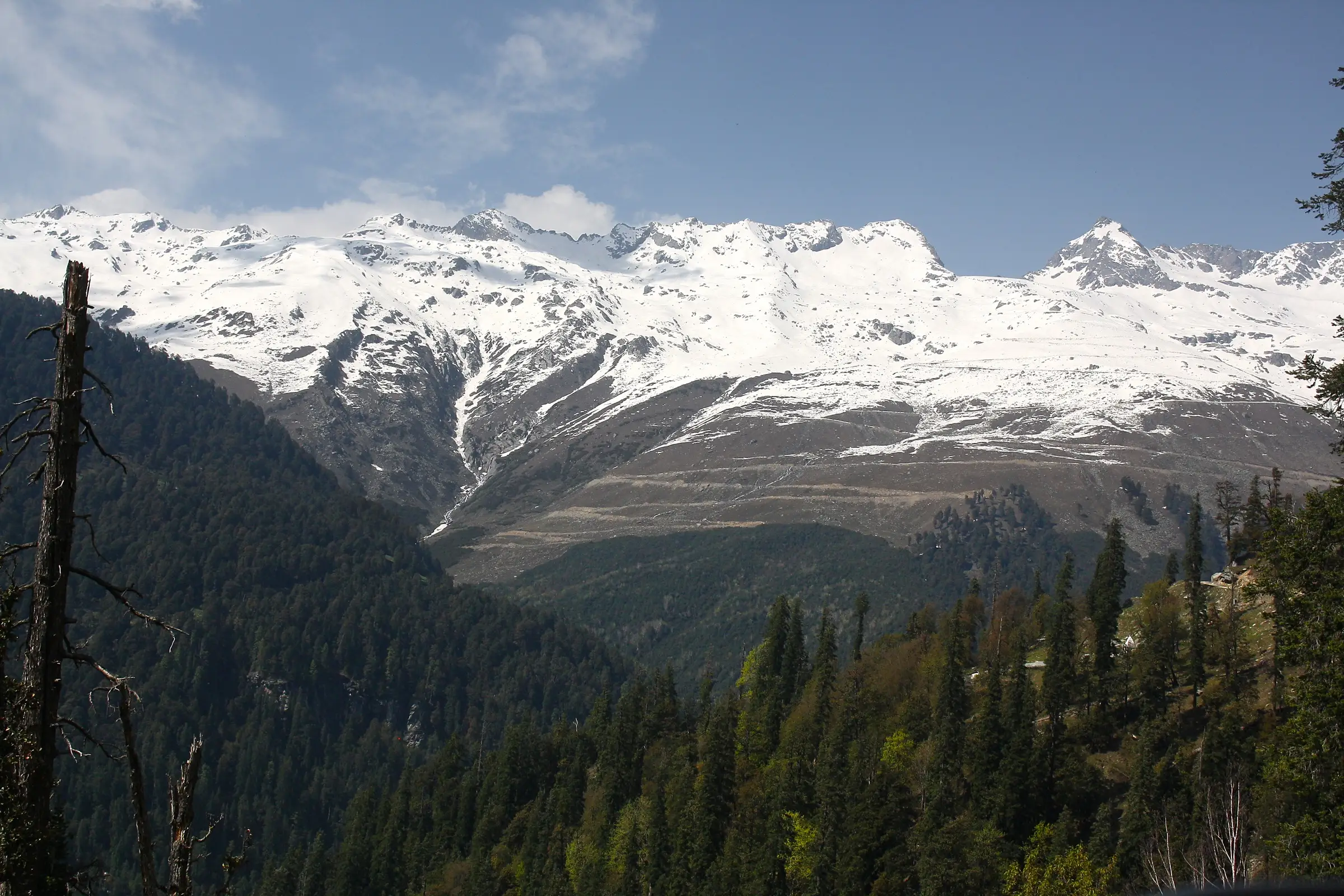 Snow-covered Pir Panjal ridge above the Kalaban deodar forest on the Chamba side of Sach Pass