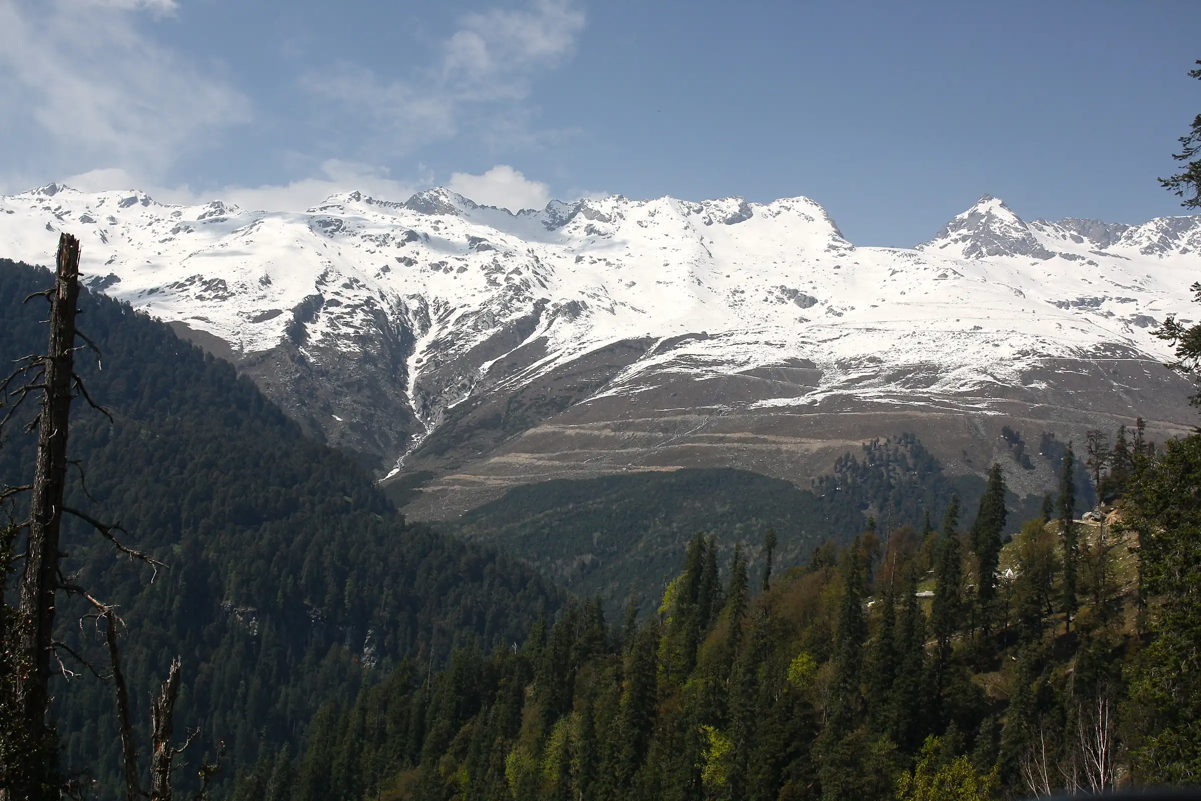 Snow-covered Pir Panjal ridge above the Kalaban deodar forest on the Chamba side of Sach Pass