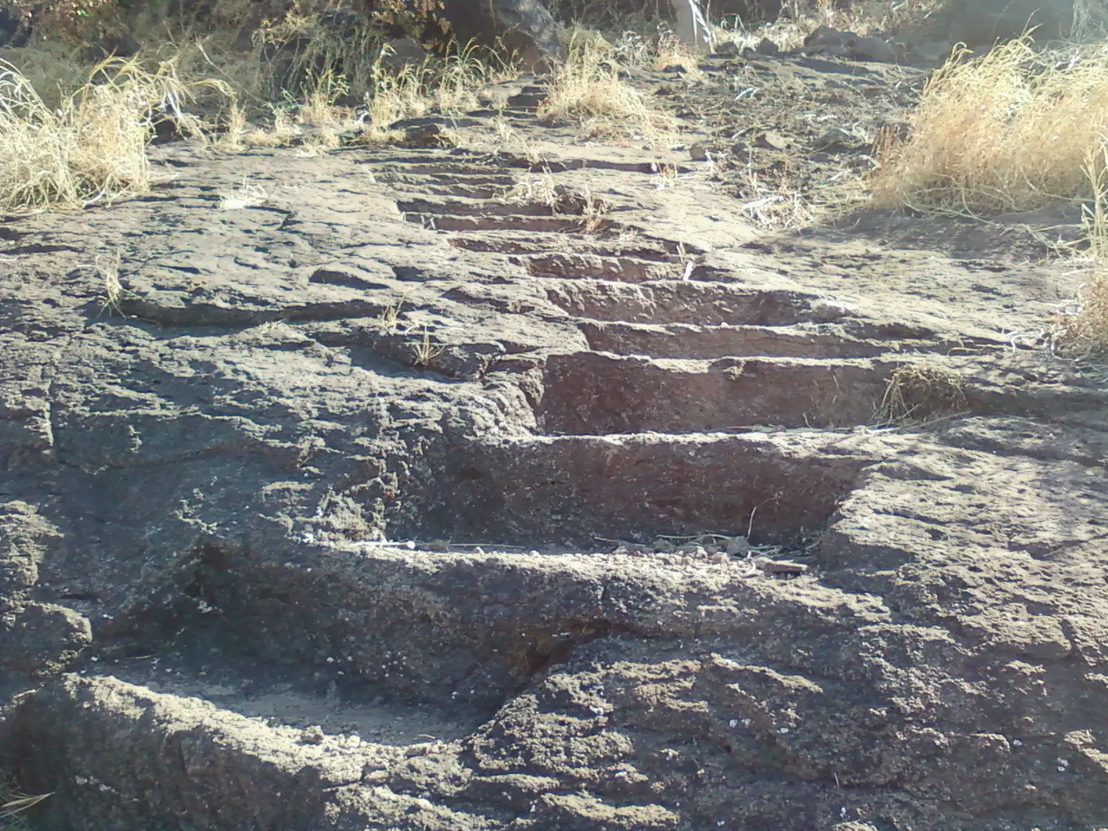 Worn rock-cut steps climbing a bare rock slope on Asheri fort, with dry grass on either side