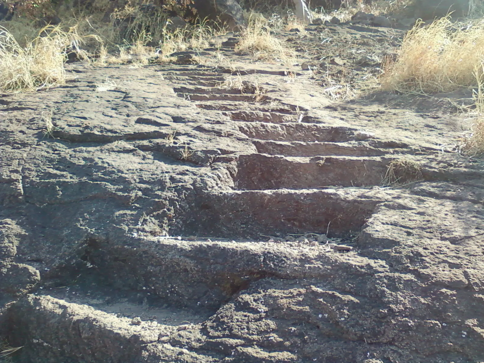 Worn rock-cut steps climbing a bare rock slope on Asheri fort, with dry grass on either side
