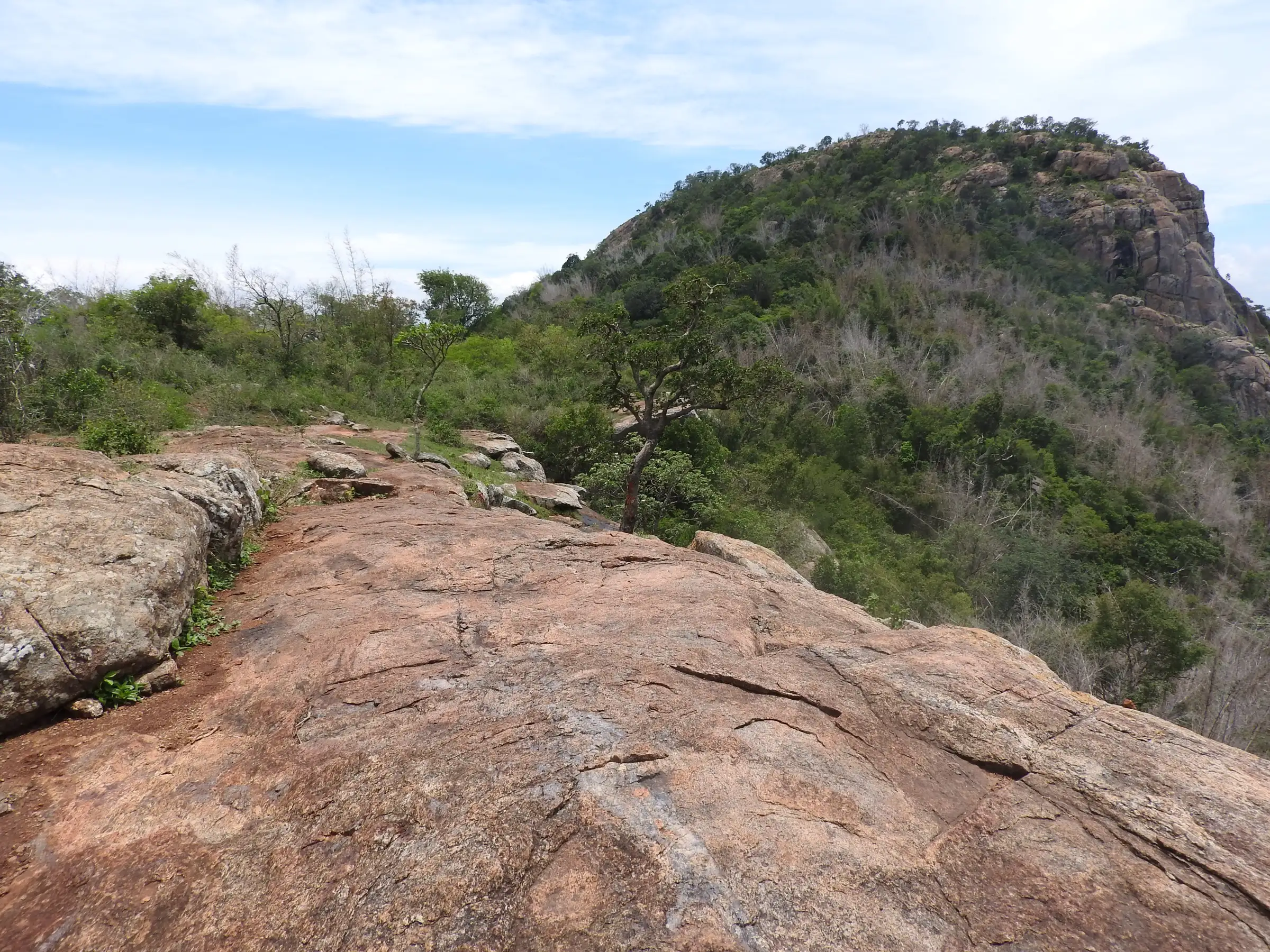 Bare rock path and scrub-covered hill near Gundur in the Yercaud foothills, near the trek (not the cave itself)