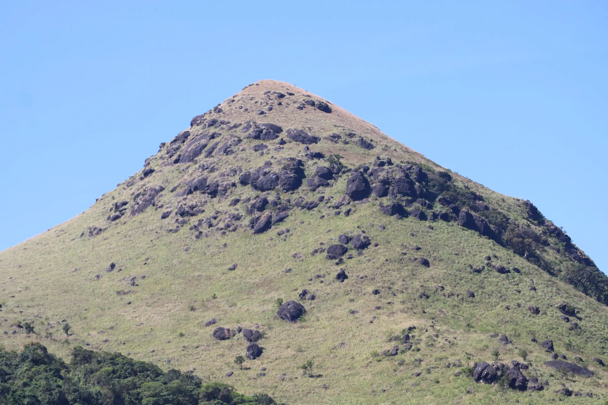 Boulder-strewn grassy summit cone of Tadiyandamol