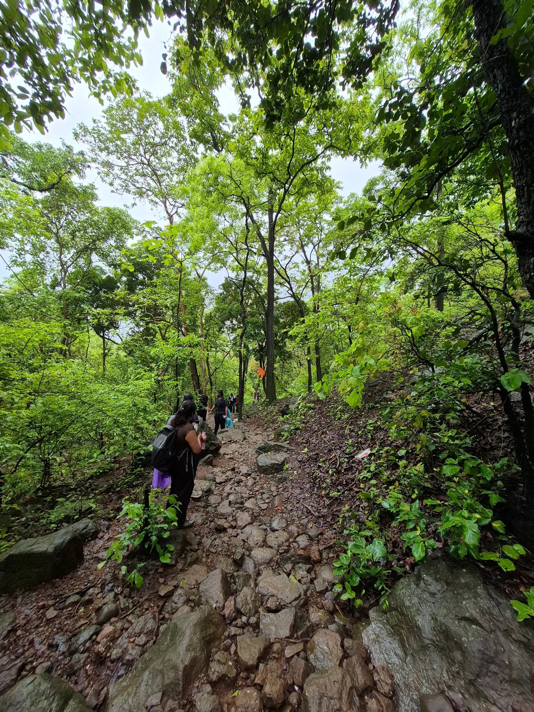 Trekkers walking up a wet, rocky trail through dense green forest on the way to Asheri fort