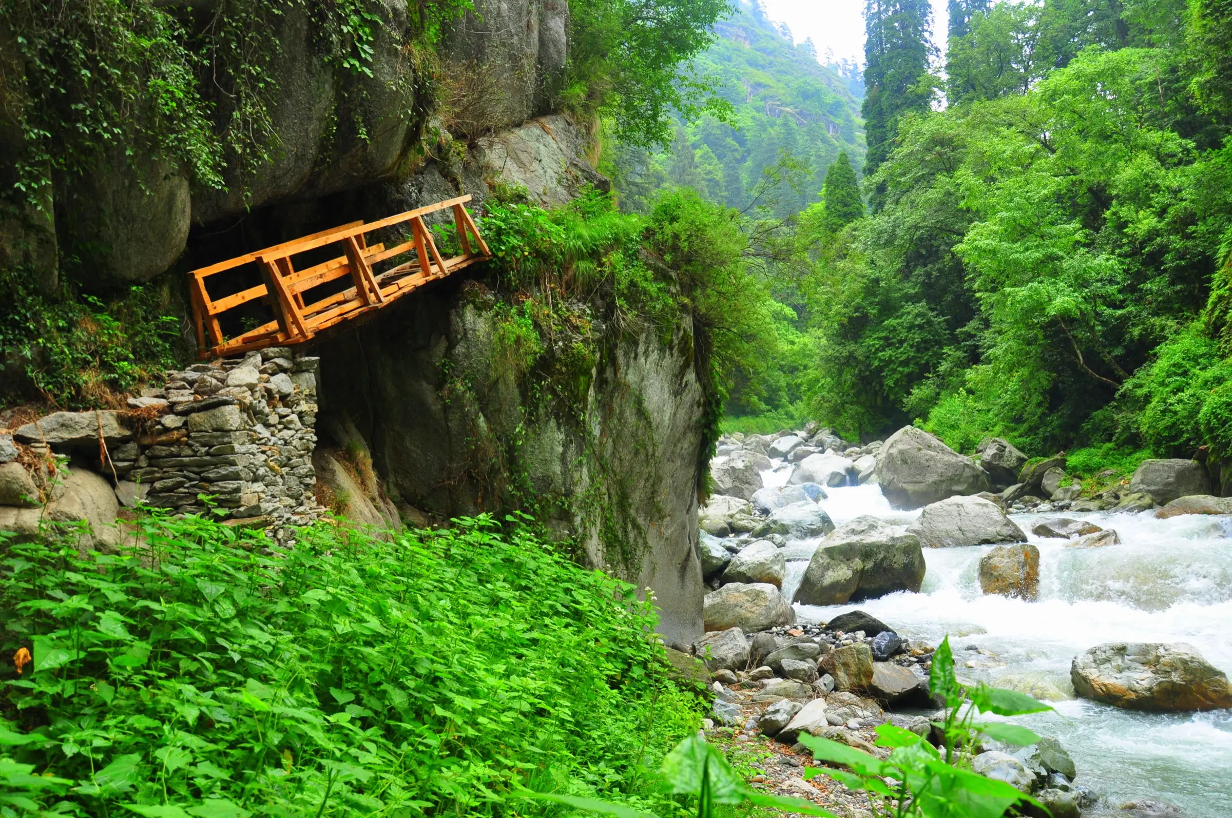 Wooden trekking bridge built against a rock wall above the rushing Tirthan river on the Rolla to Chalocha section, in dense green forest