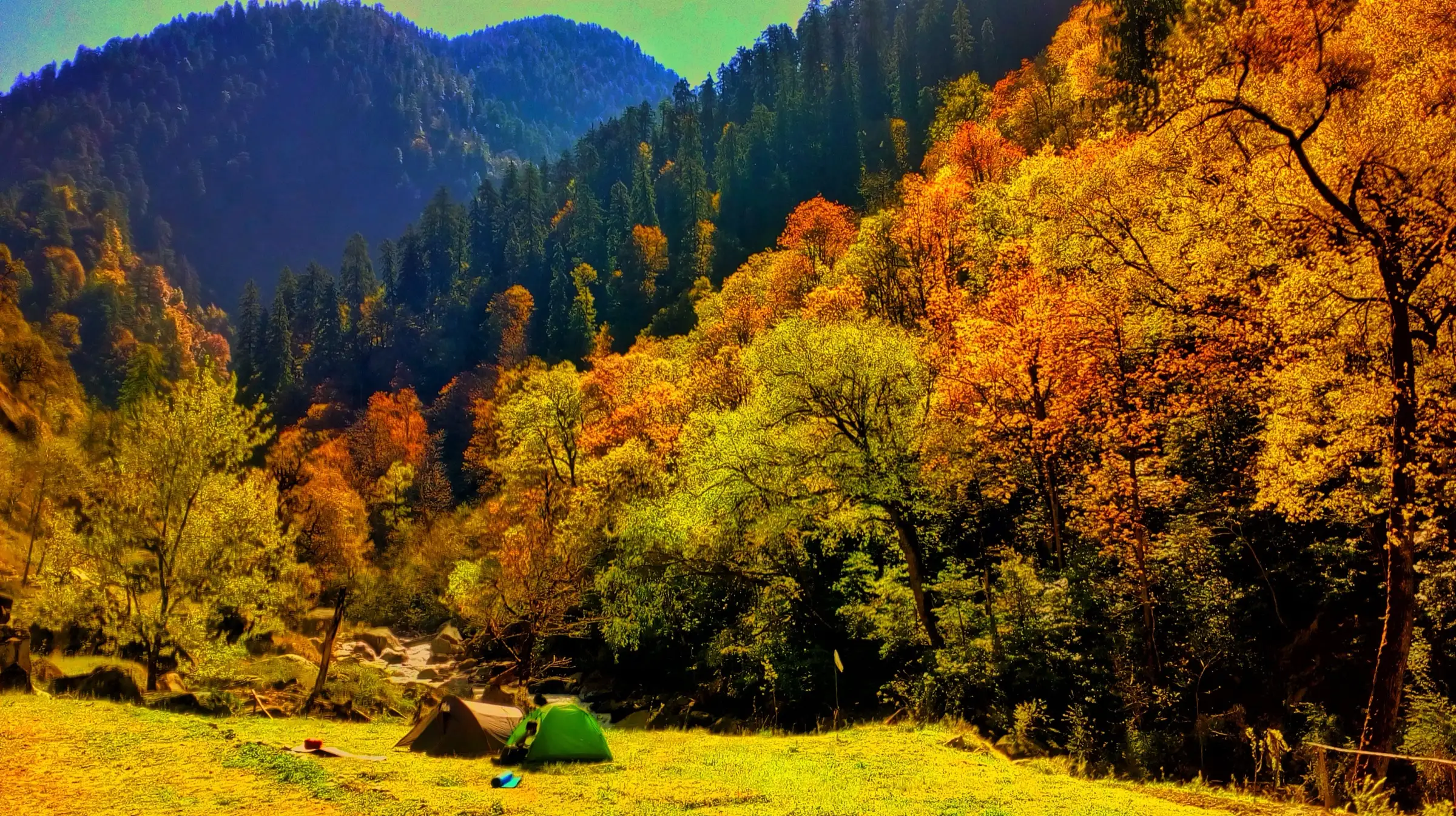 Two tents on a grassy campsite below autumn-coloured trees and forested slopes at Rolla in the Great Himalayan National Park
