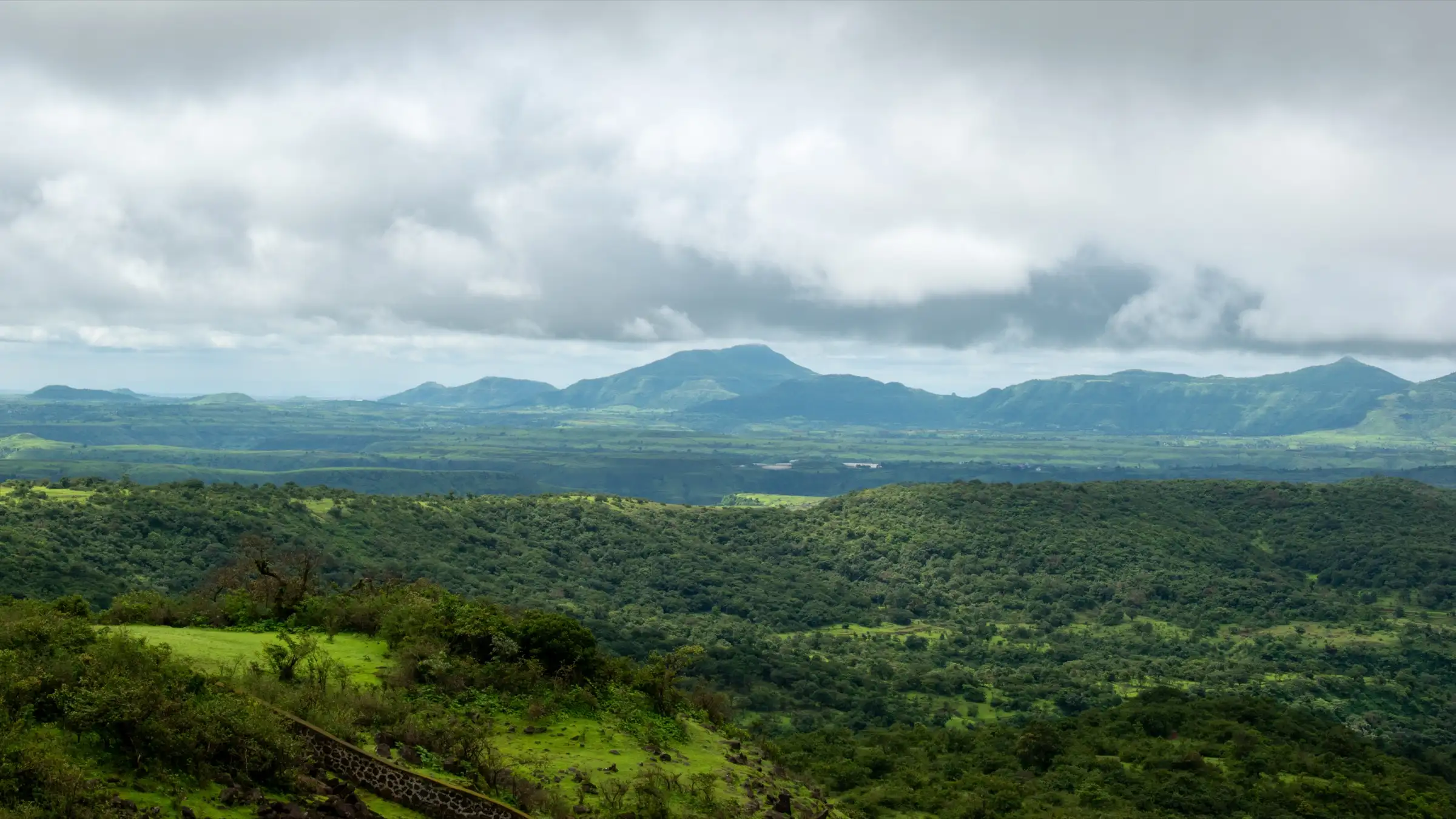 Green forested Sahyadri hills and plateau around Bhimashankar under monsoon clouds