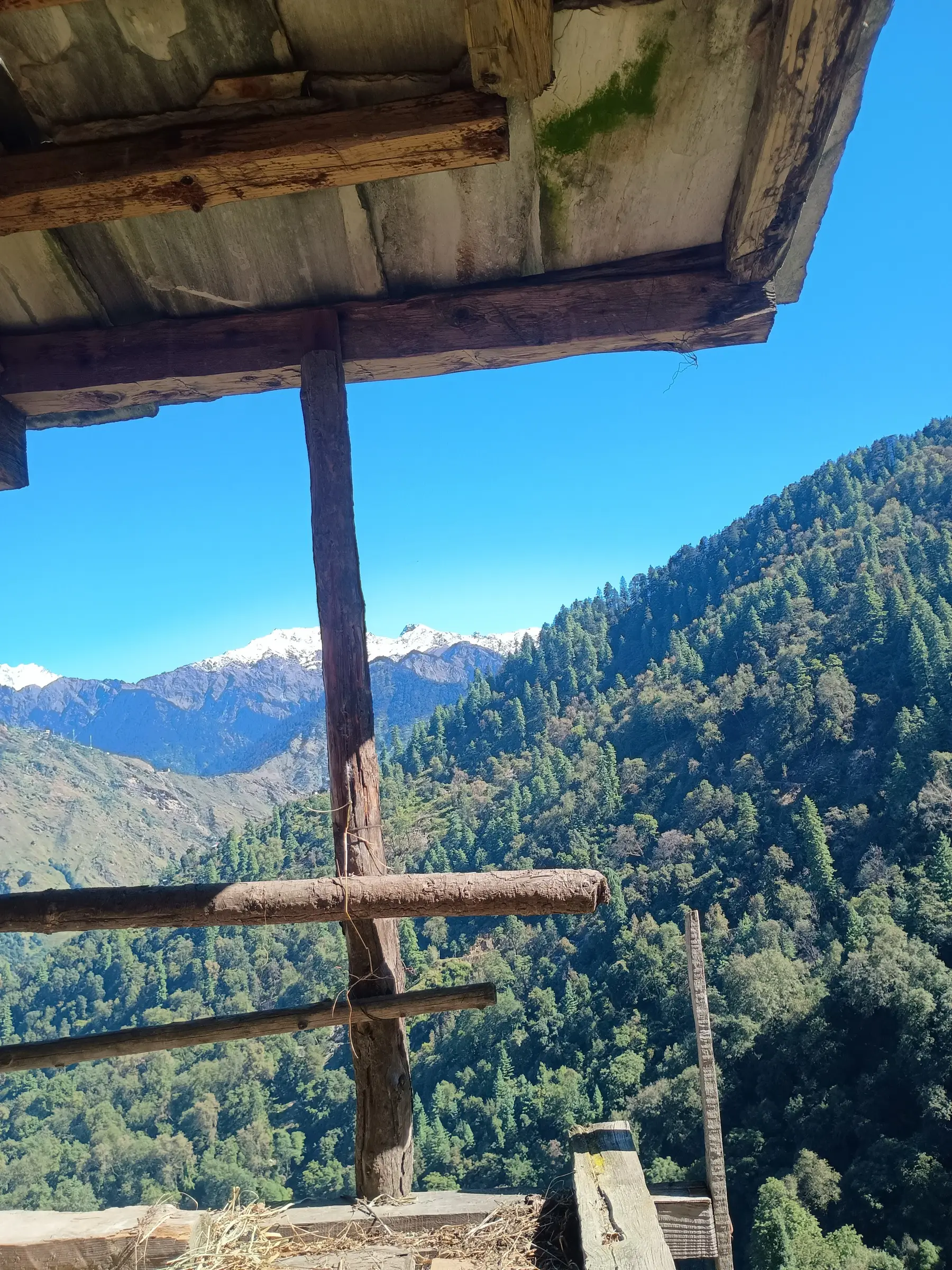 View from a wooden shed at Shangarh across forested slopes of the Sainj valley to snow peaks, near the Shumga Top trek