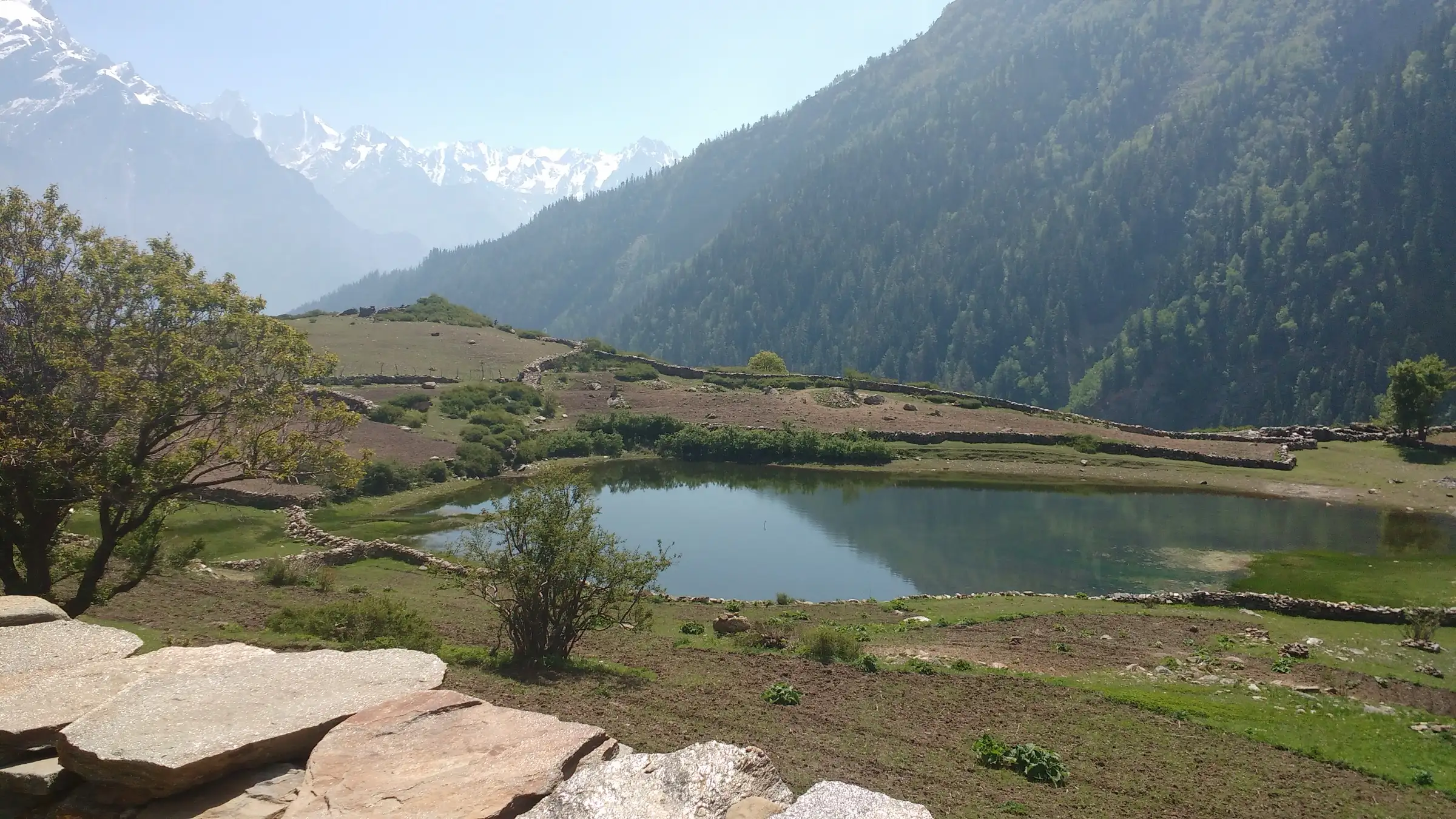Small lake in the green meadow of Sangla Kanda, the last camp of the trek, with stone walls, pine-covered slopes and snowy Kinner Kailash peaks behind