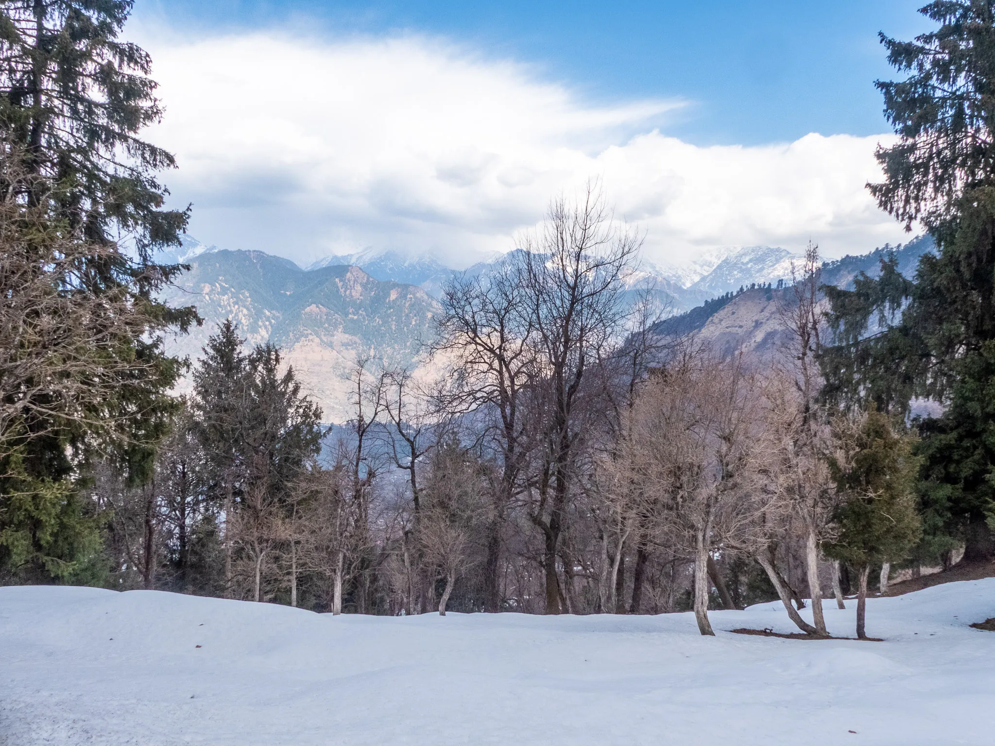 Snow-covered clearing among bare trees and conifers near Sarahan, with snow peaks behind; a view of the area around the trek, not the summit itself