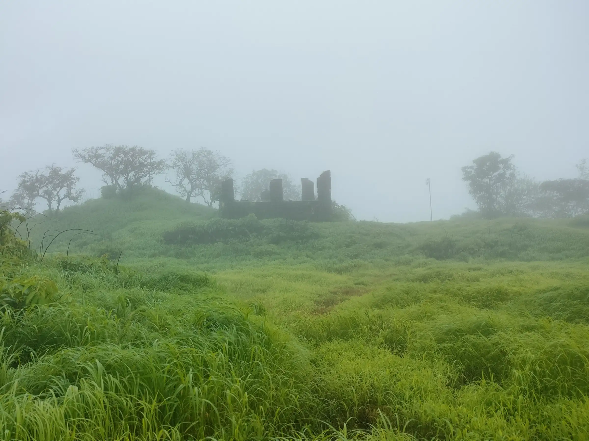 Stone ruins of a fort structure on the grassy top of Sarasgad in monsoon mist