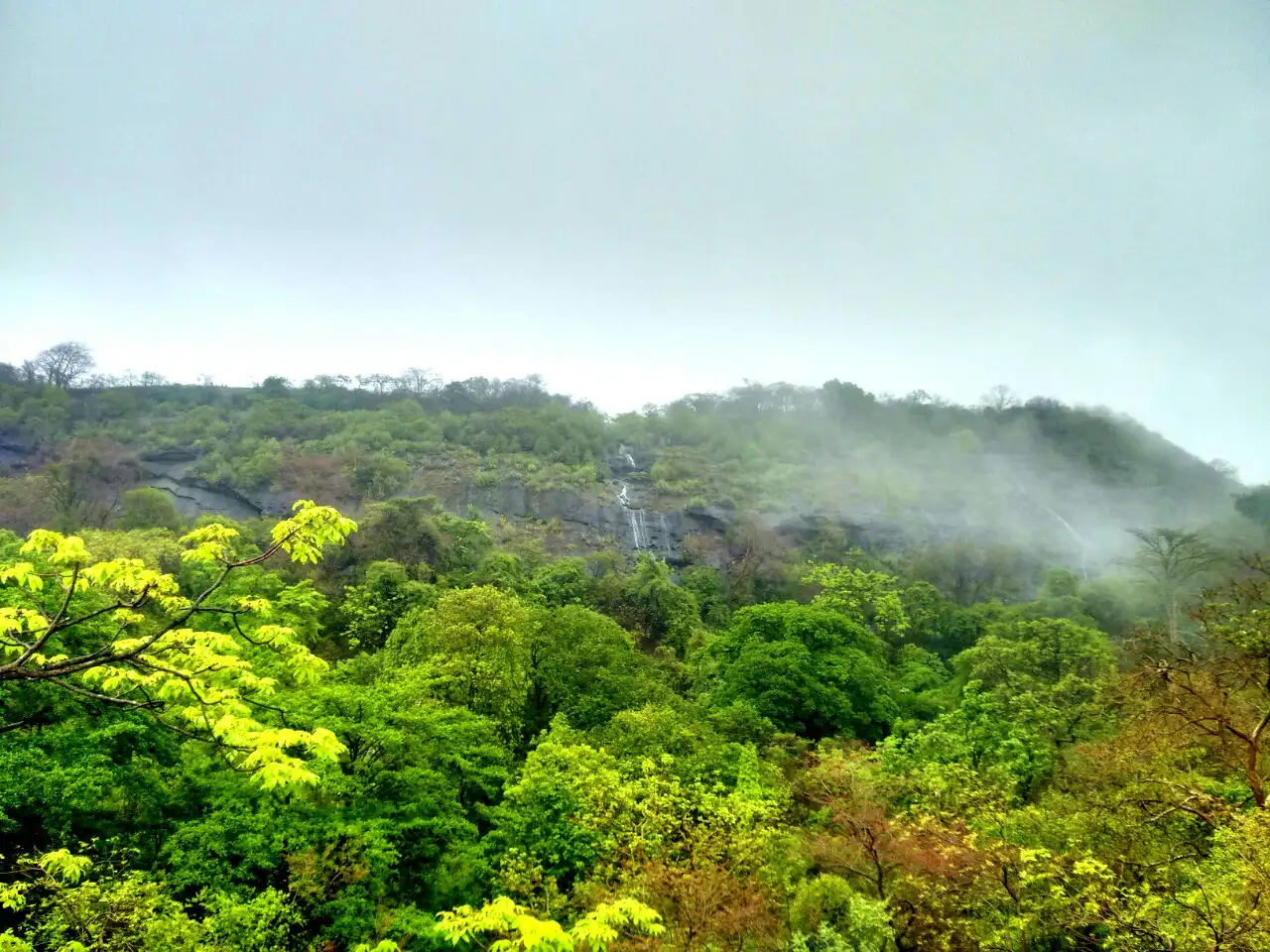 Monsoon mist and a seasonal waterfall on a forested hillside in Sanjay Gandhi National Park, Borivali, the park the Jambulmal trail crosses