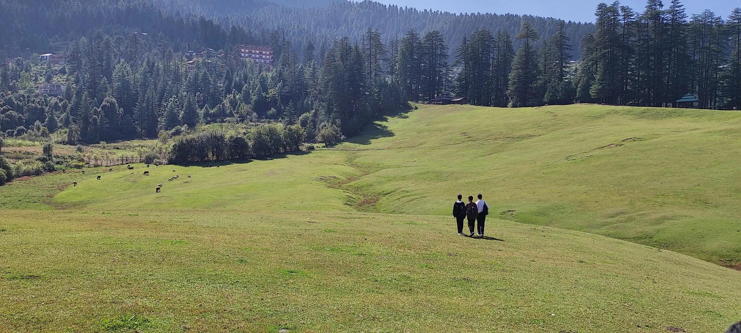 The wide green Shangarh meadow ringed by deodar forest in the lower Sainj valley, near the road to the trek's start (not on the trek itself)