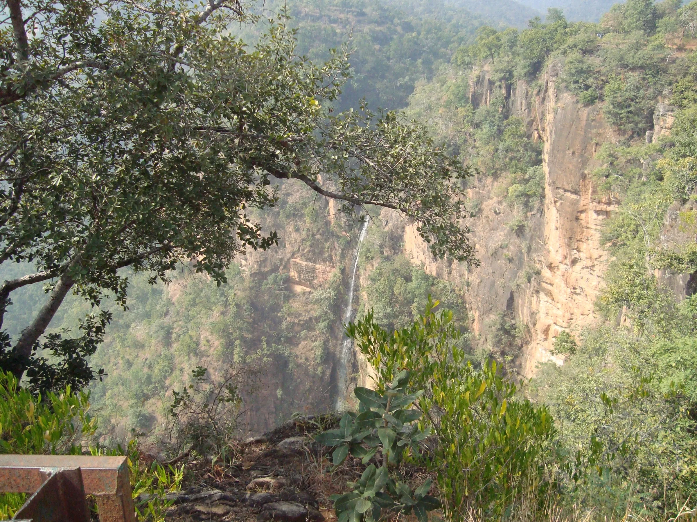 Thin white ribbon of the Silver Fall dropping down a sheer sandstone cliff into a forested gorge, framed by tree branches