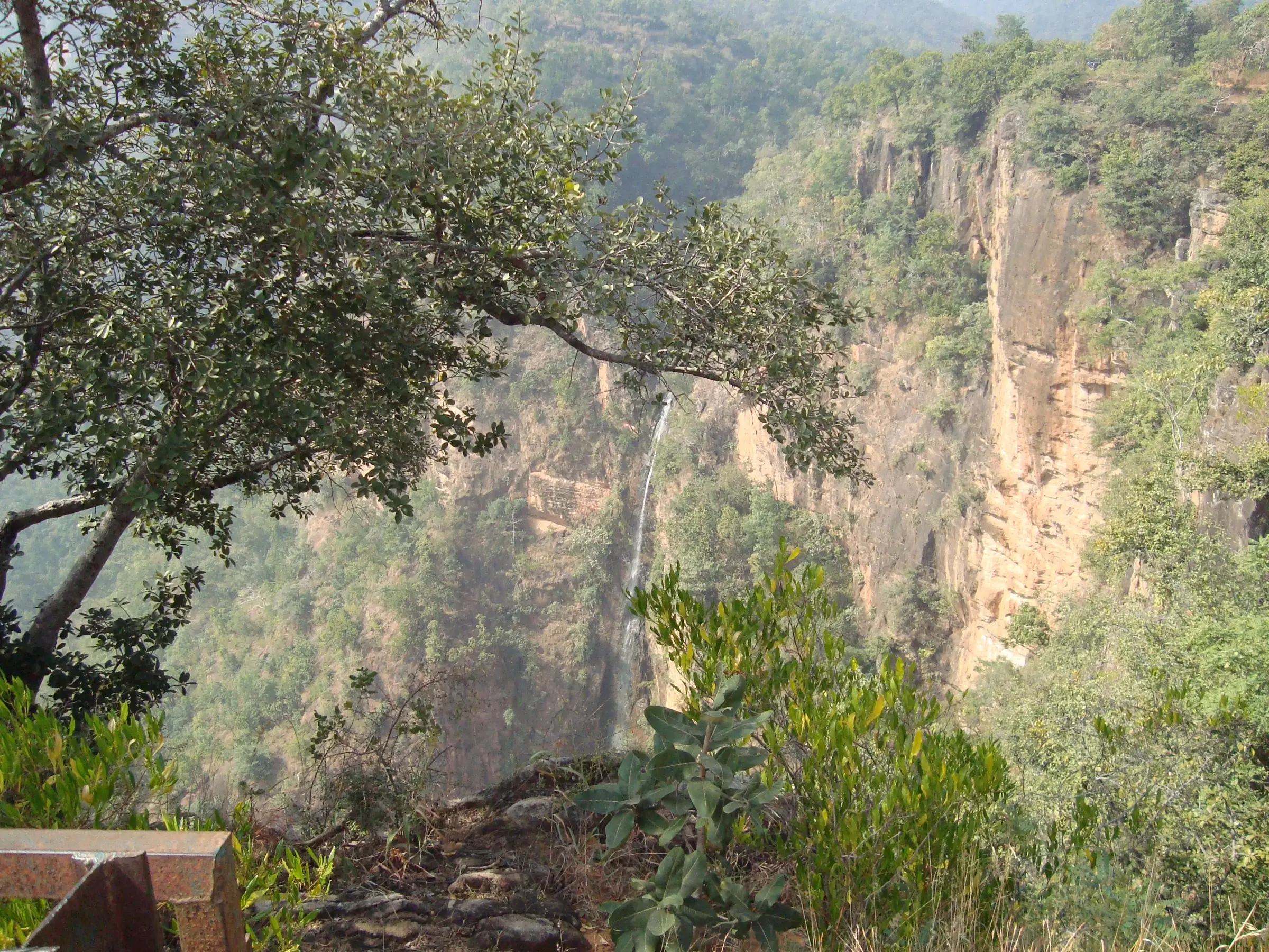 Thin white ribbon of the Silver Fall dropping down a sheer sandstone cliff into a forested gorge, framed by tree branches