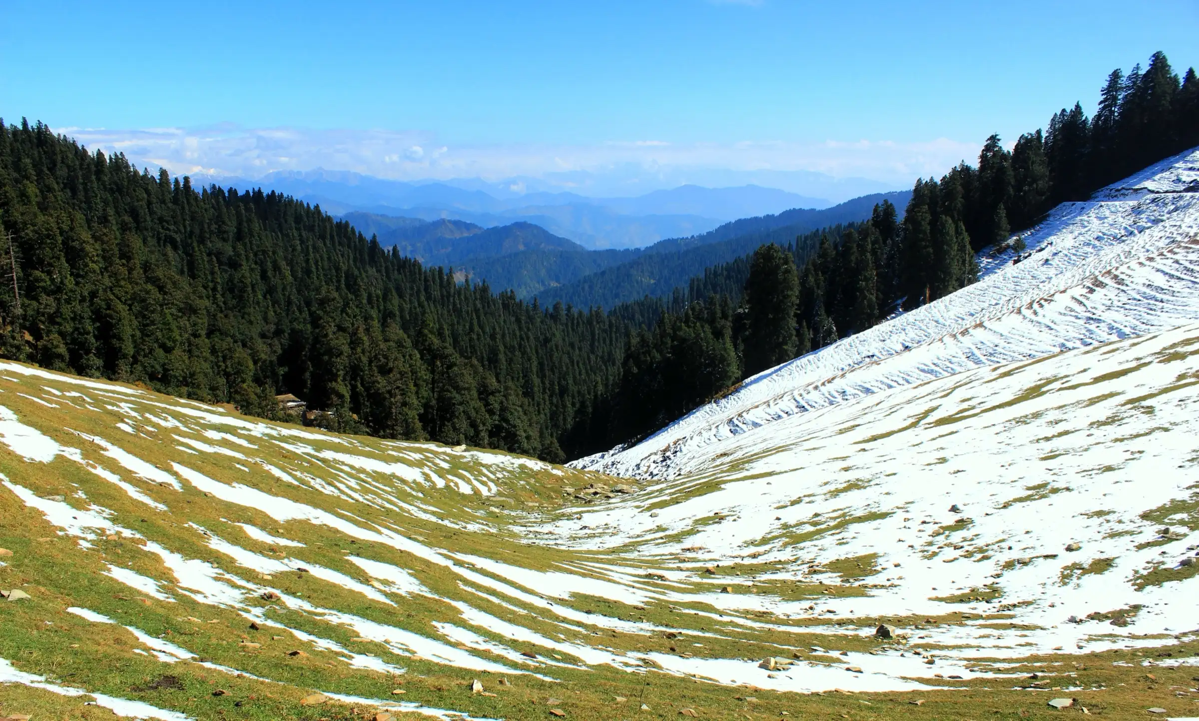 Patchy early snow on a grassy bowl below deodar forest in the Shikari Devi Wildlife Sanctuary, with blue ridges fading into the distance