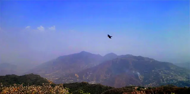 Solan town spread across a hillside below hazy mountains, seen from Mount Karol with a bird flying overhead