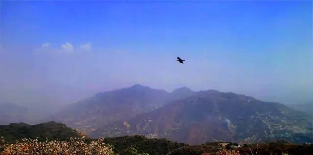 Solan town spread across a hillside below hazy mountains, seen from Mount Karol with a bird flying overhead