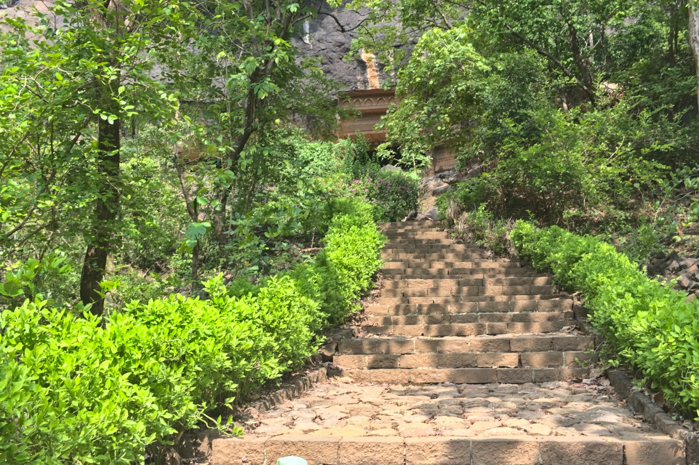 Stone steps through green bushes leading up to the Kondana Caves