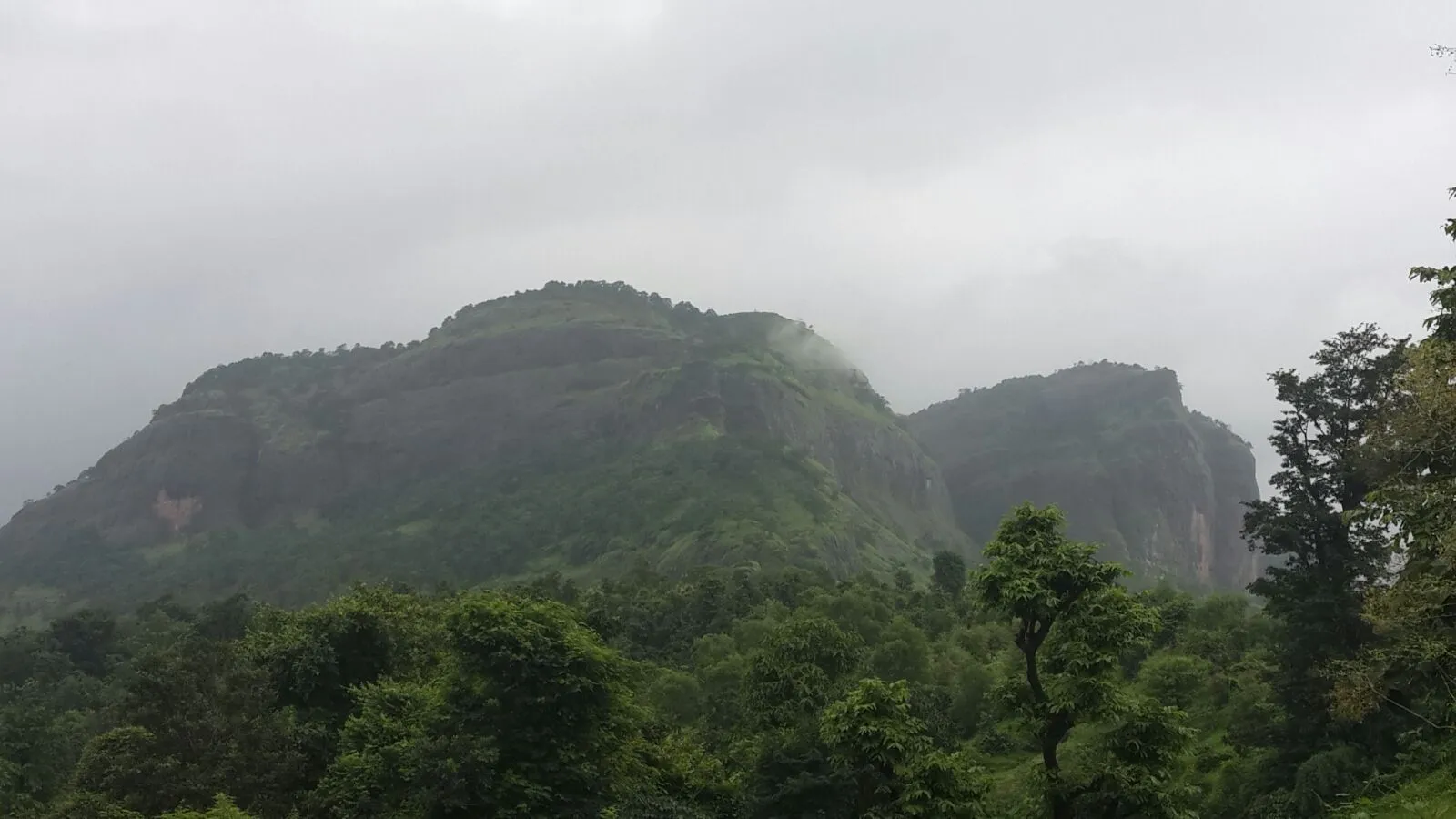 The forested cliffs of Sudhagad fort under monsoon cloud, seen from the approach