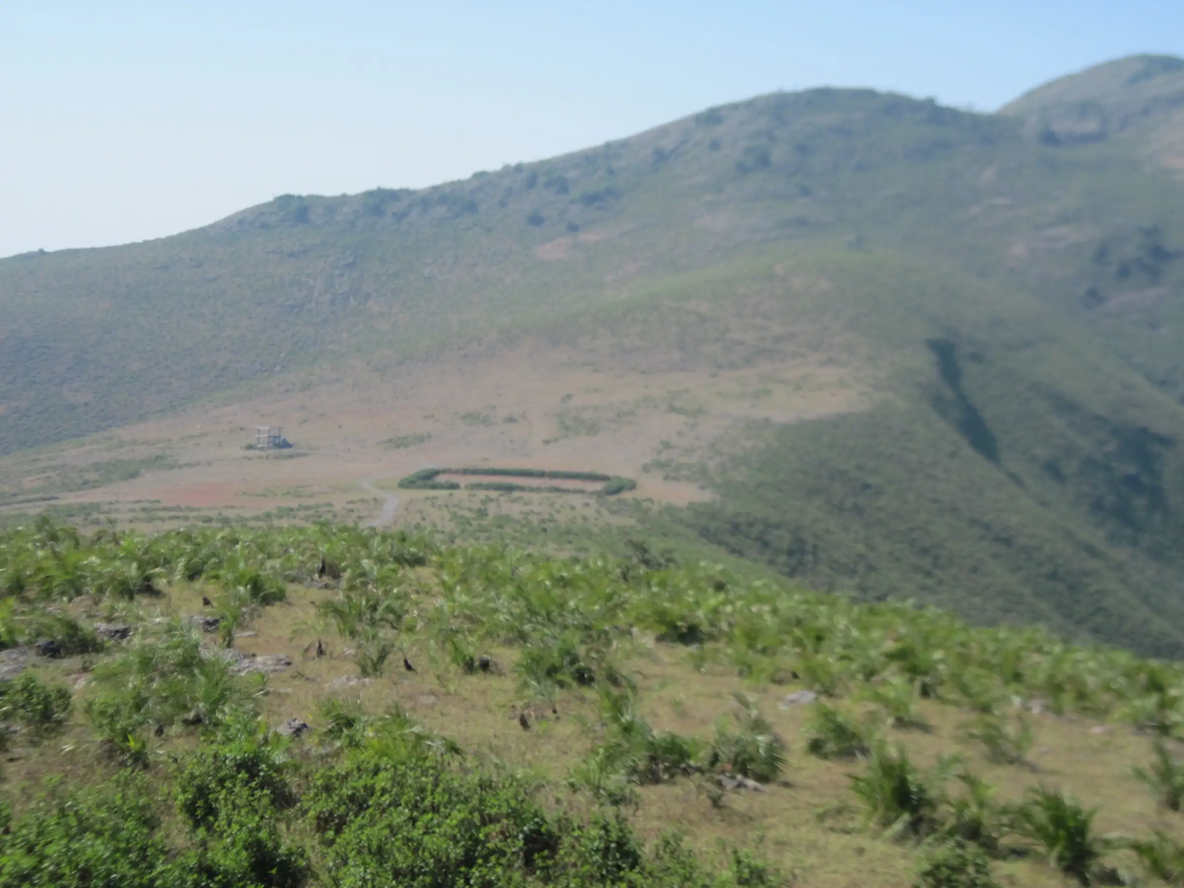 Grassy Deomali slopes falling to a flat clearing with a small shelter, below the summit ridge