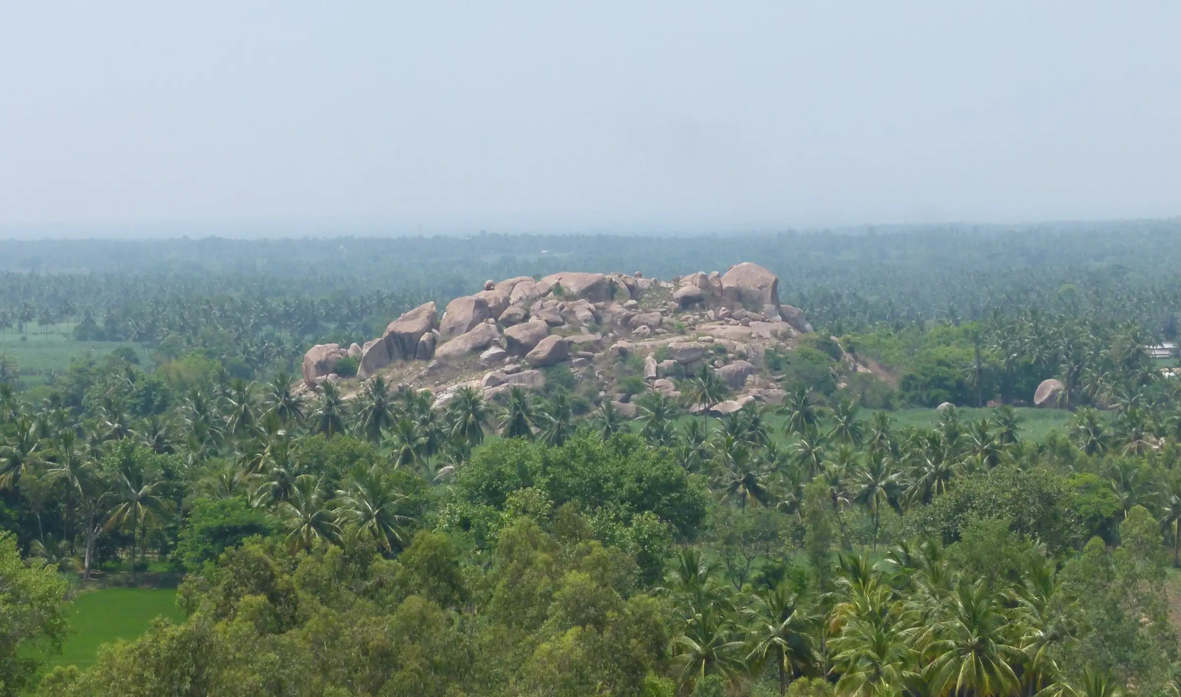 A boulder hillock among coconut groves and fields, seen looking south from Kunti Betta
