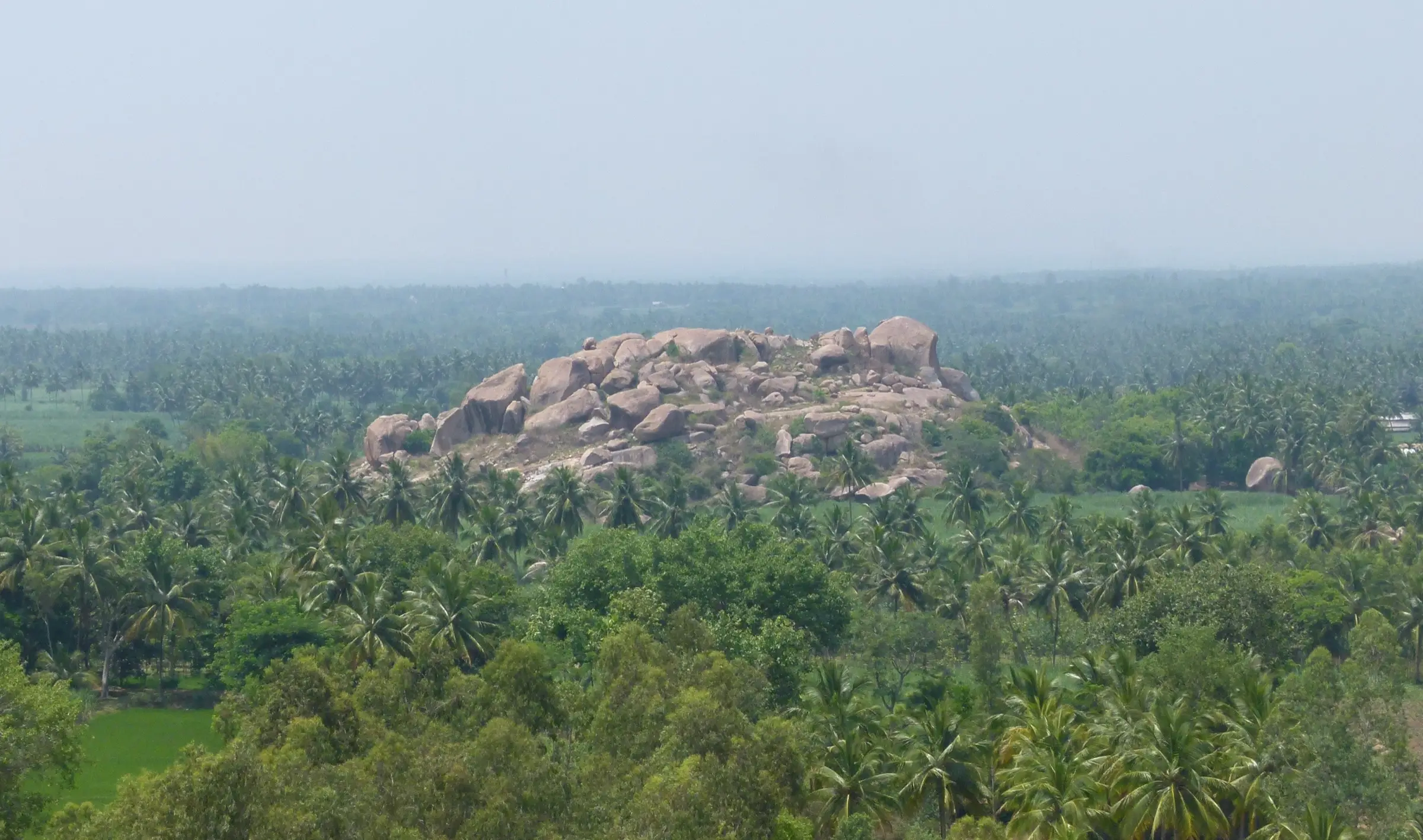 A boulder hillock among coconut groves and fields, seen looking south from Kunti Betta
