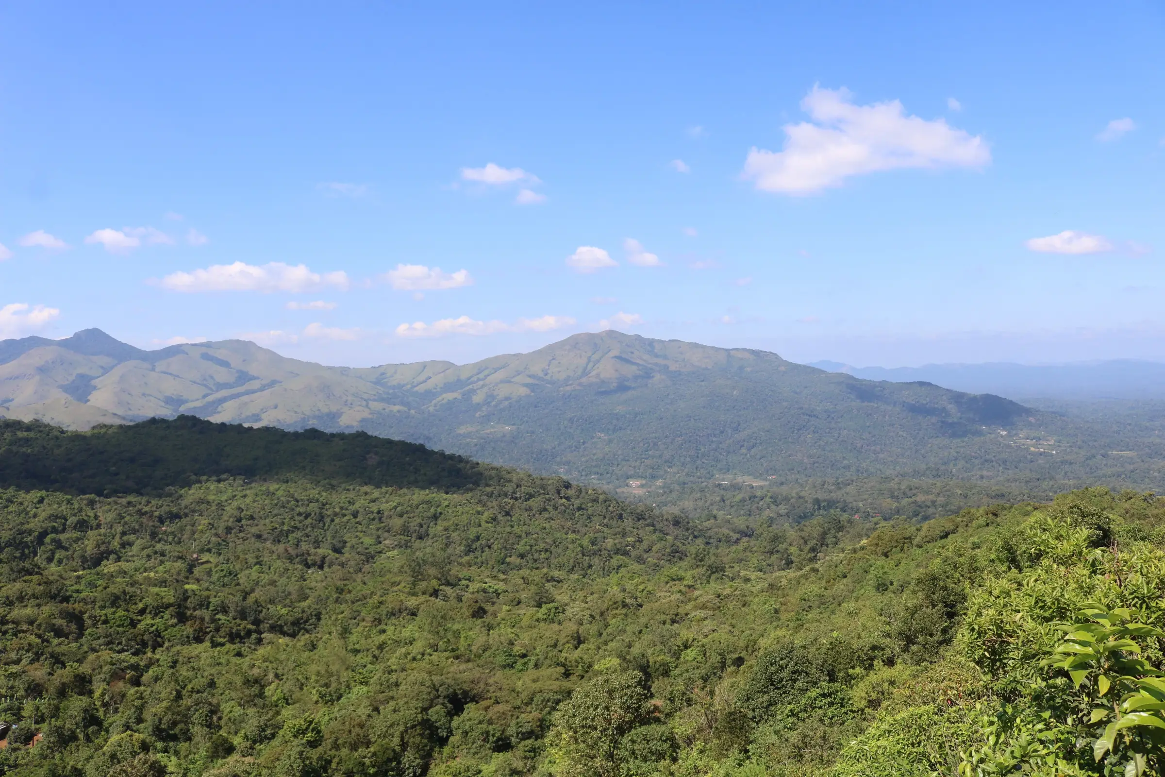 Forested valleys and grassy Kodagu ridges near Tadiandamol, the hills seen from the Nelji ridge (not the Nelji trail itself)