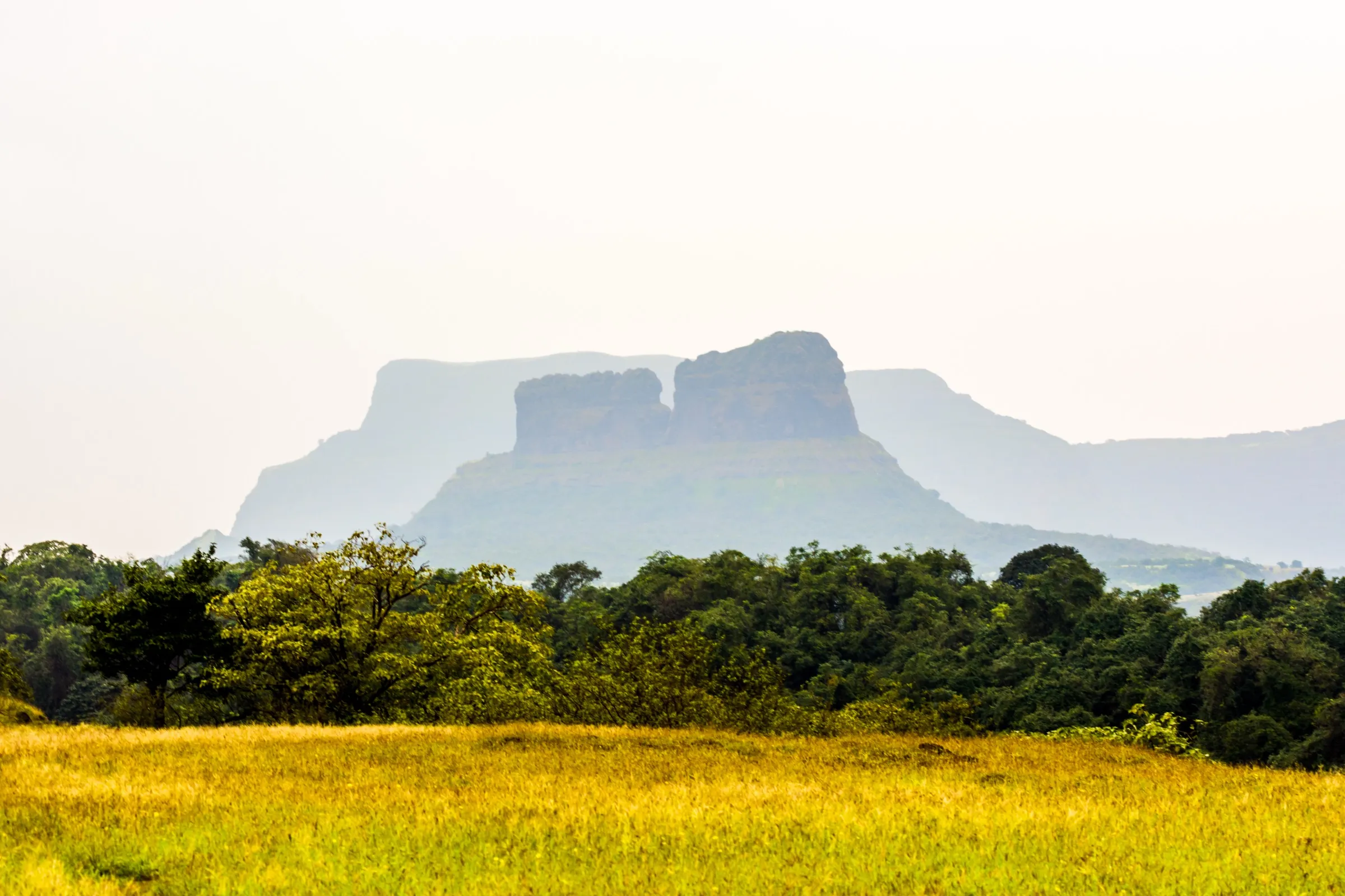 The twin rock walls of Tailbaila with the notch between them, seen in haze from Sudhagad across green forest and a golden grass meadow