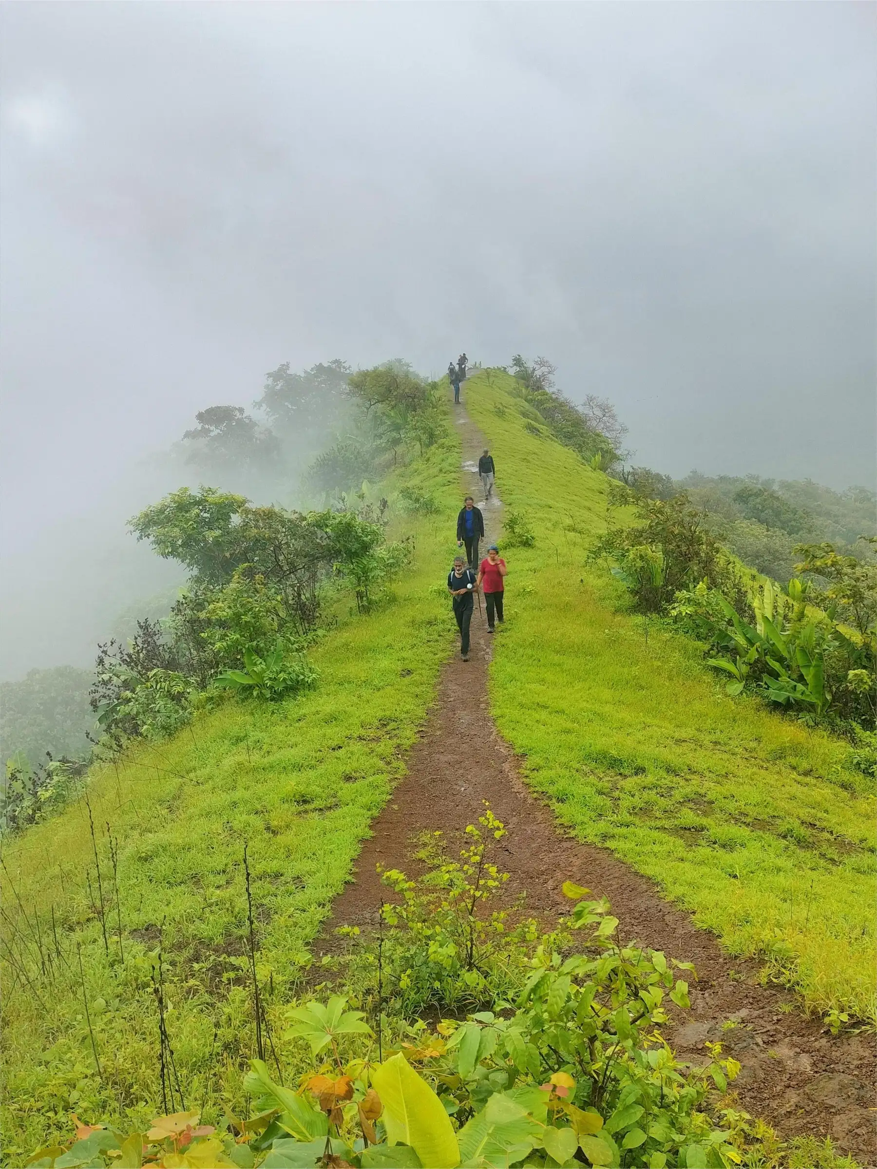 Trekkers walking a narrow dirt path along a grassy ridge in monsoon mist on the way to Takmak Fort