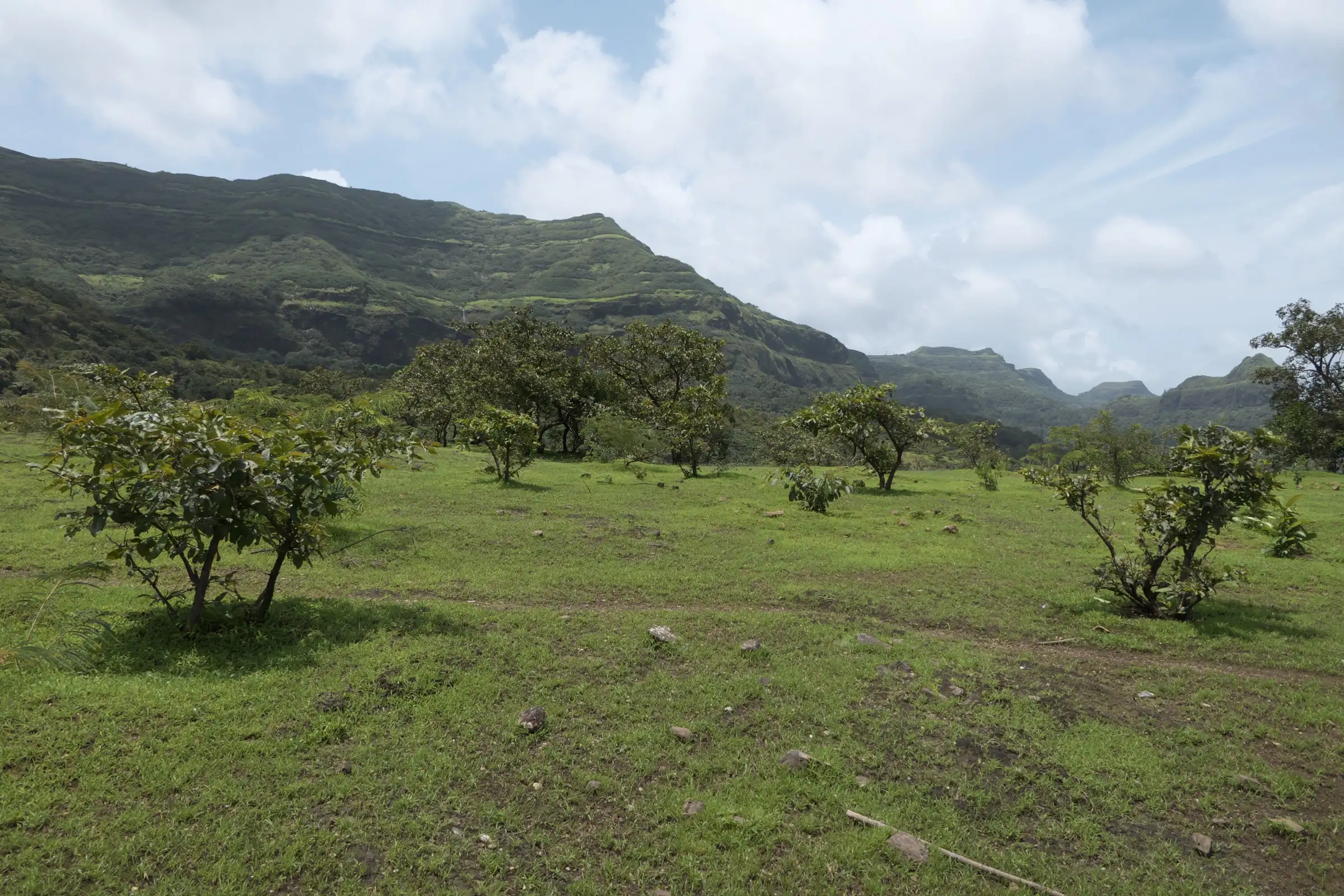 Green plateau and basalt cliffs of Tamhini Ghat in the monsoon, the area around the Savlya Ghat trek (not the trail itself)