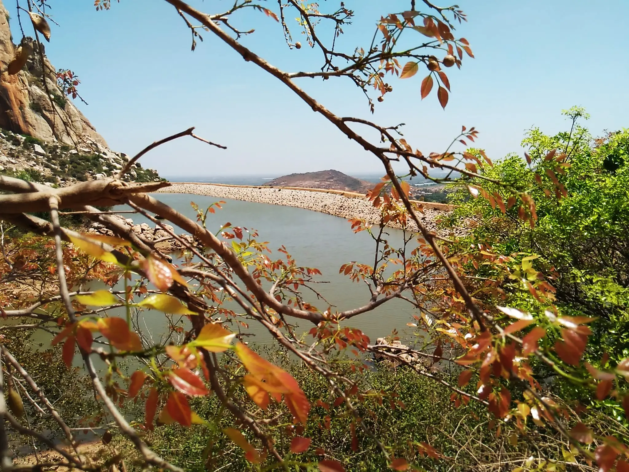 Hill tank at Kailasagiri, beside Ambaji Durga, seen through new red leaves, with a rocky hillock and the plain behind (nearby area, not the trek itself)