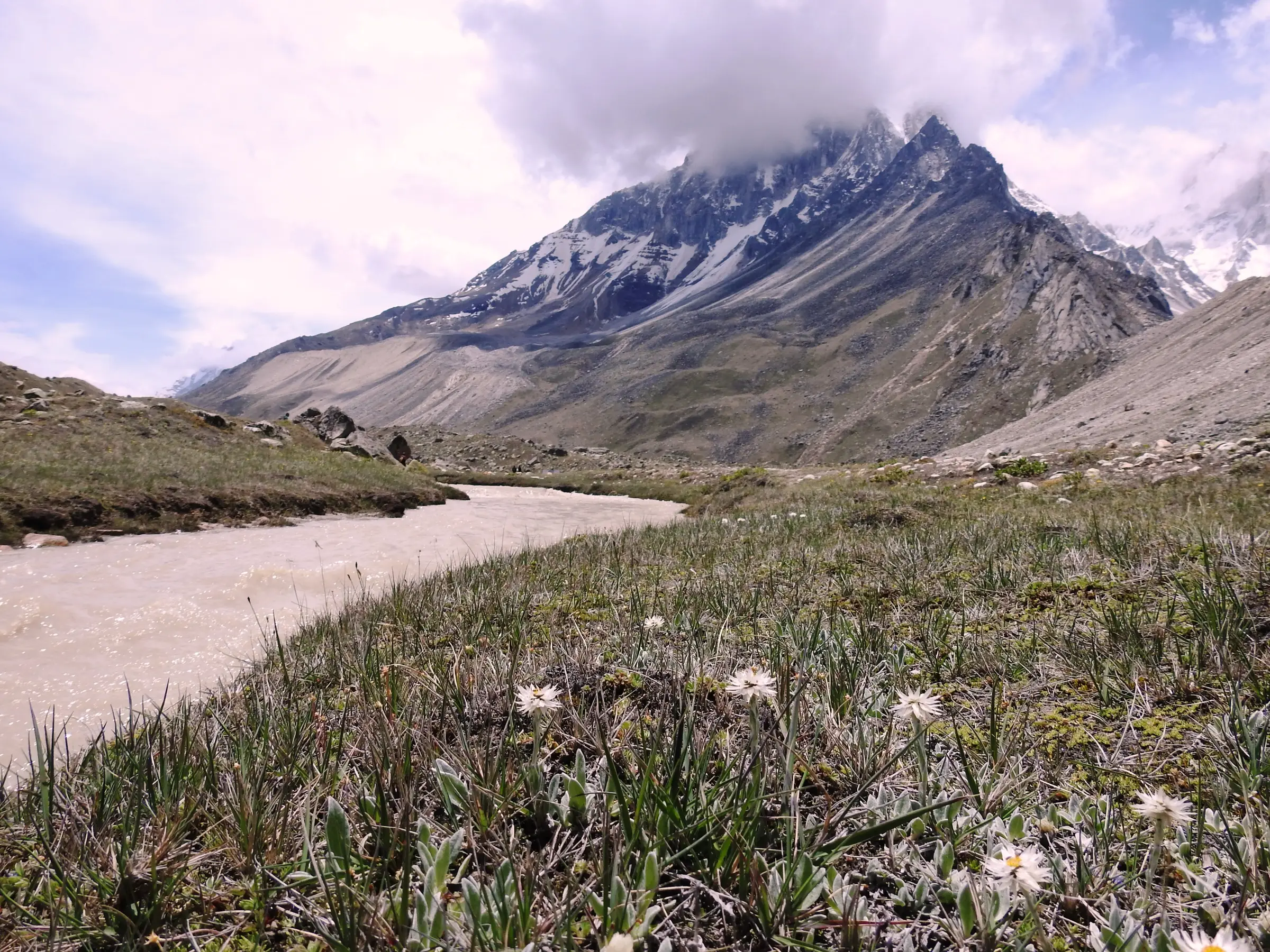 The Akash Ganga stream winding through the grassy Tapovan meadow with small white flowers, below a cloud-capped rocky ridge near Shivling