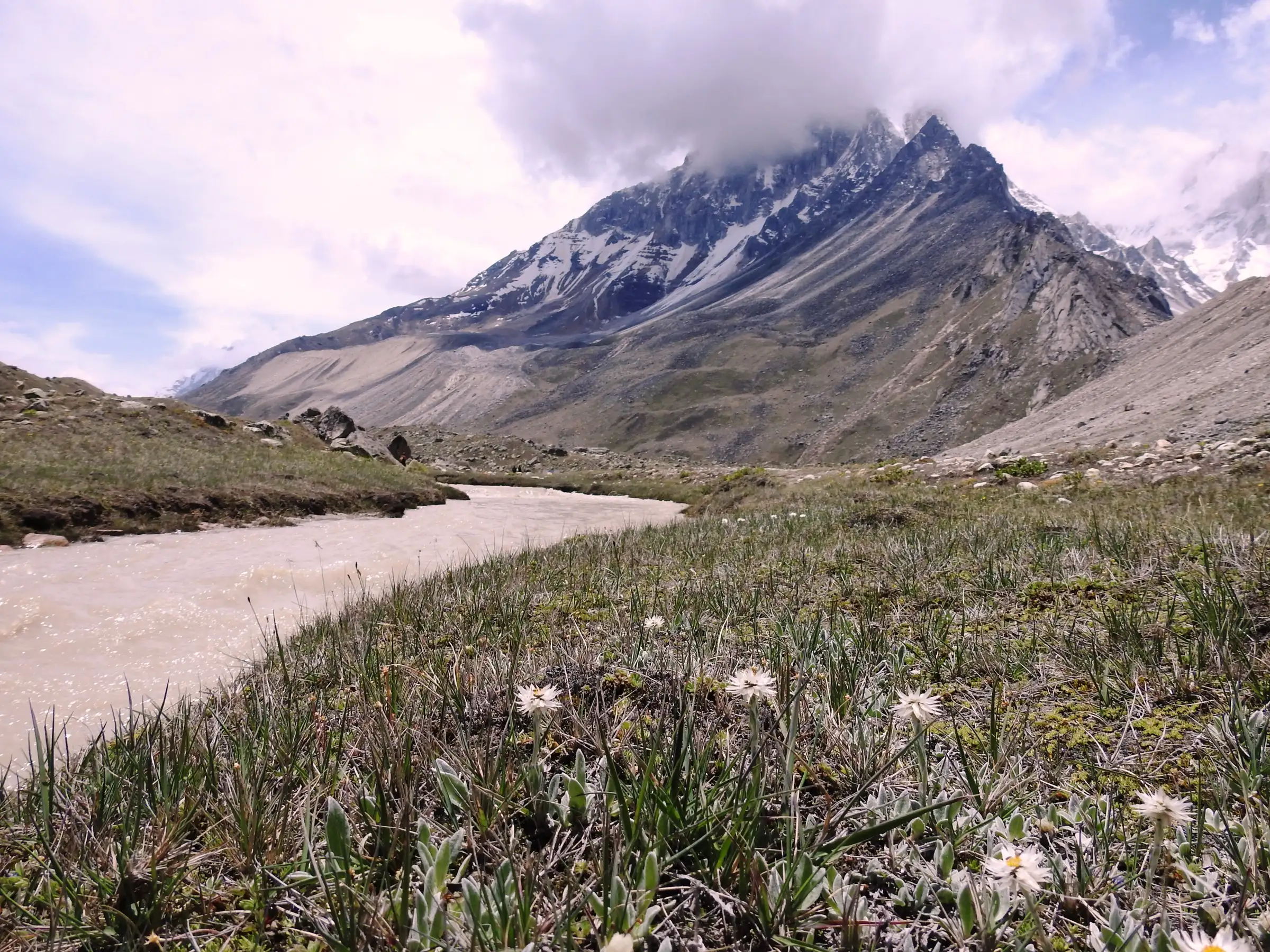 The Akash Ganga stream winding through the grassy Tapovan meadow with small white flowers, below a cloud-capped rocky ridge near Shivling