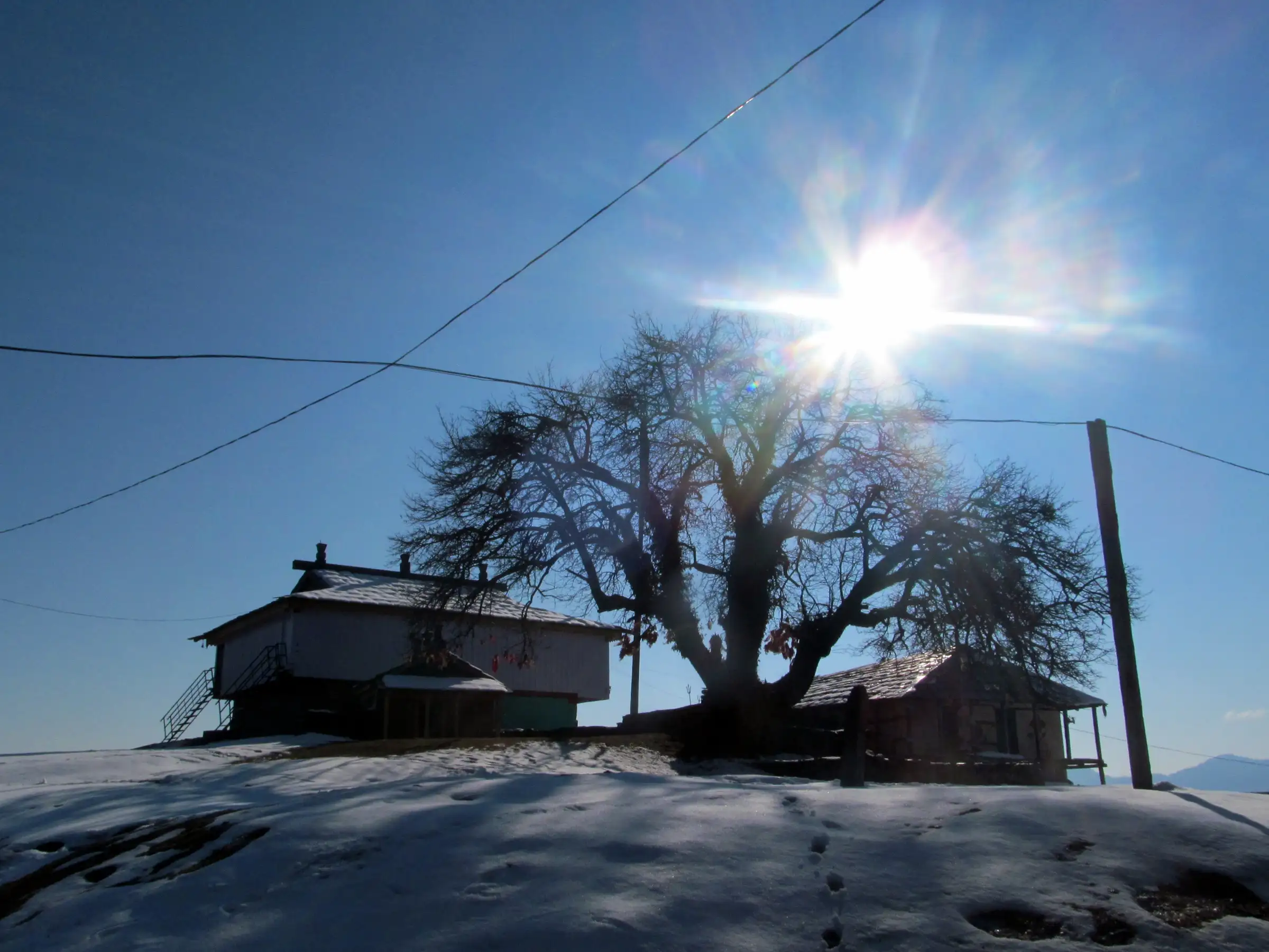 Bijli Mahadev temple buildings and a bare tree on the snow-covered hilltop with the sun behind