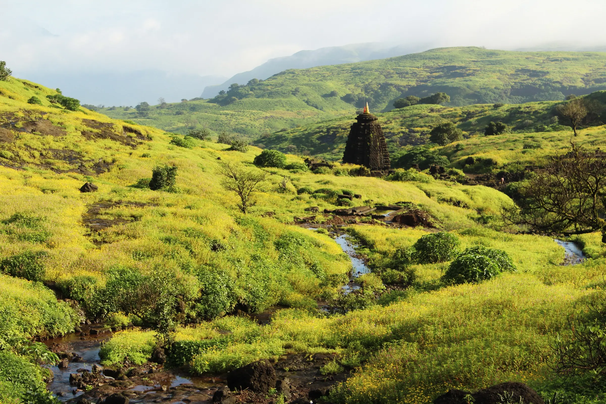 Dark stone spire of the Harishchandreshwar temple among green monsoon hills and a stream on the plateau