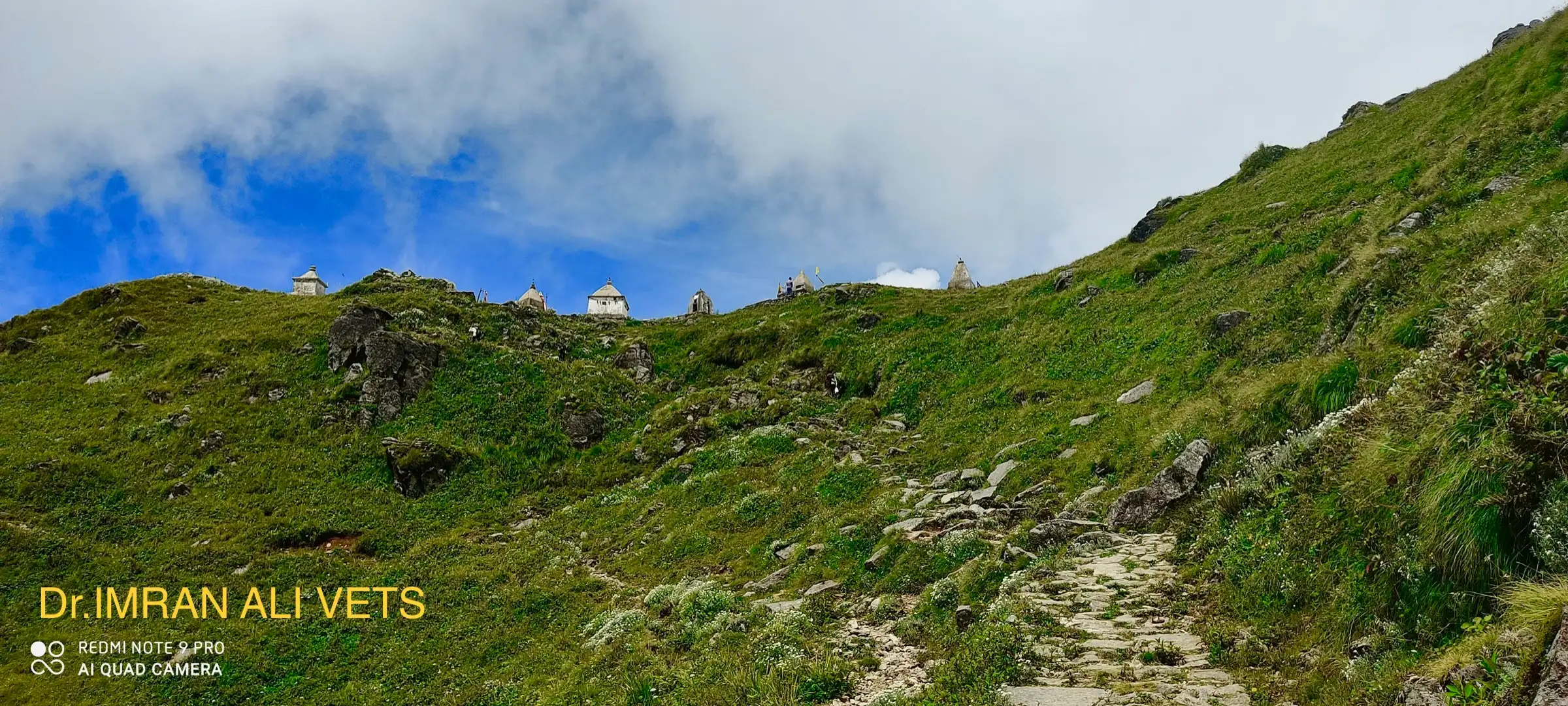 Stone-paved trail climbing a grassy slope to a row of small white temples on the Panwali ridge