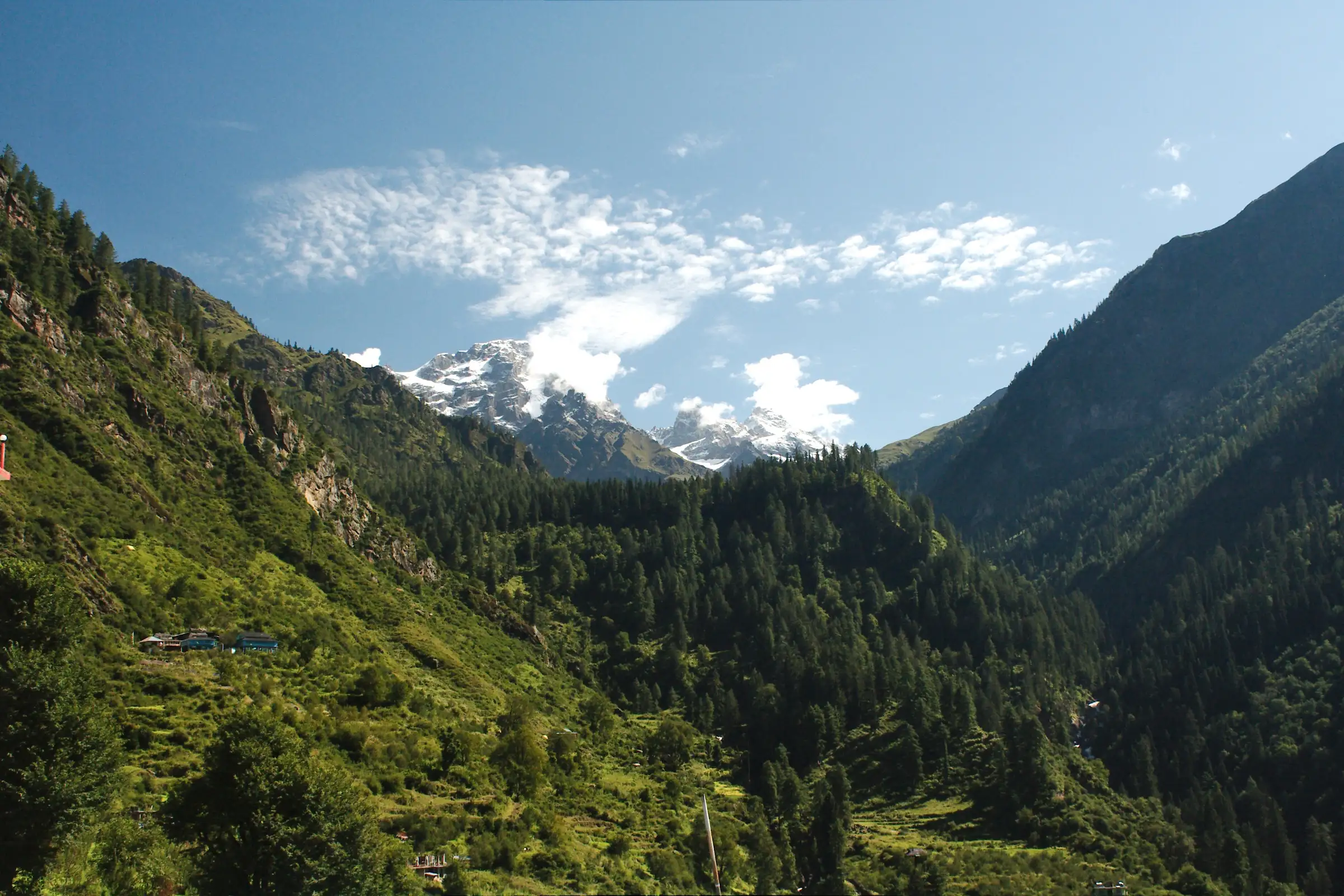 Green, pine-covered Tosh valley with snow peaks at its head, where the trek begins (not the pass itself)