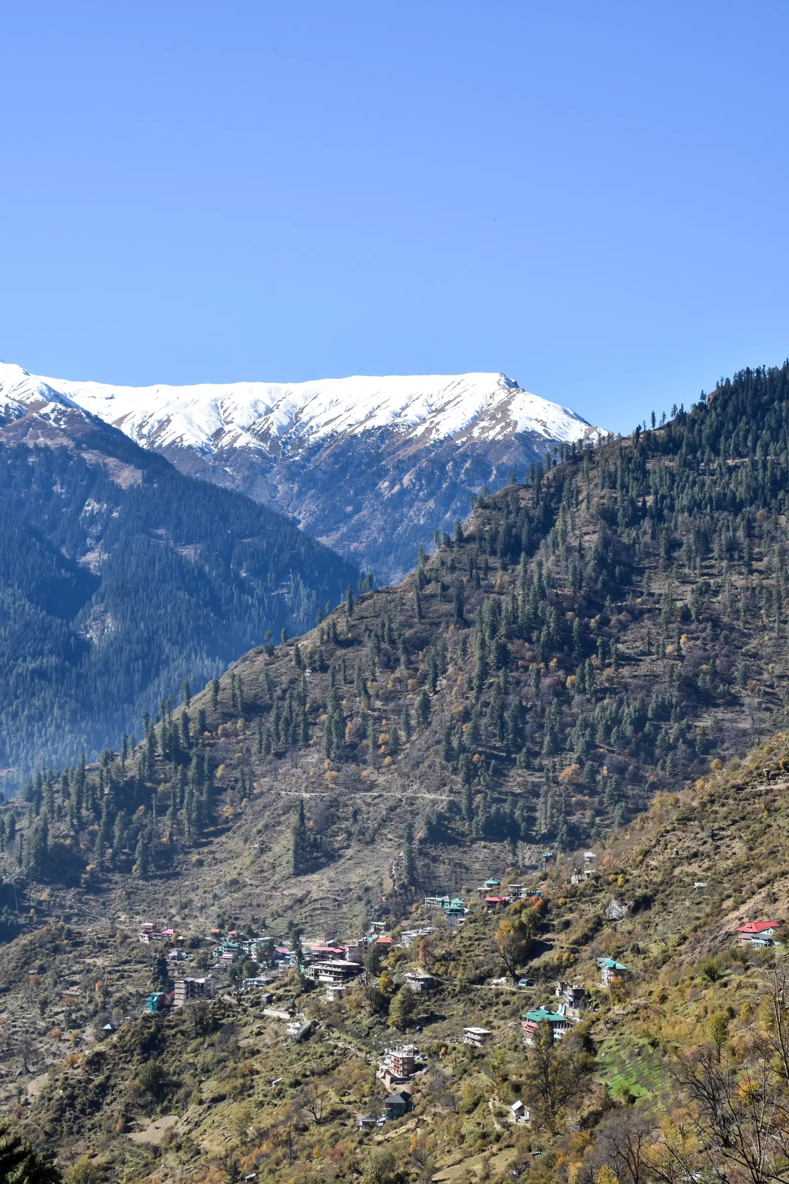 Tosh village, the trailhead, below the snowy Parbati range, seen from the Tosh to Kutla trail