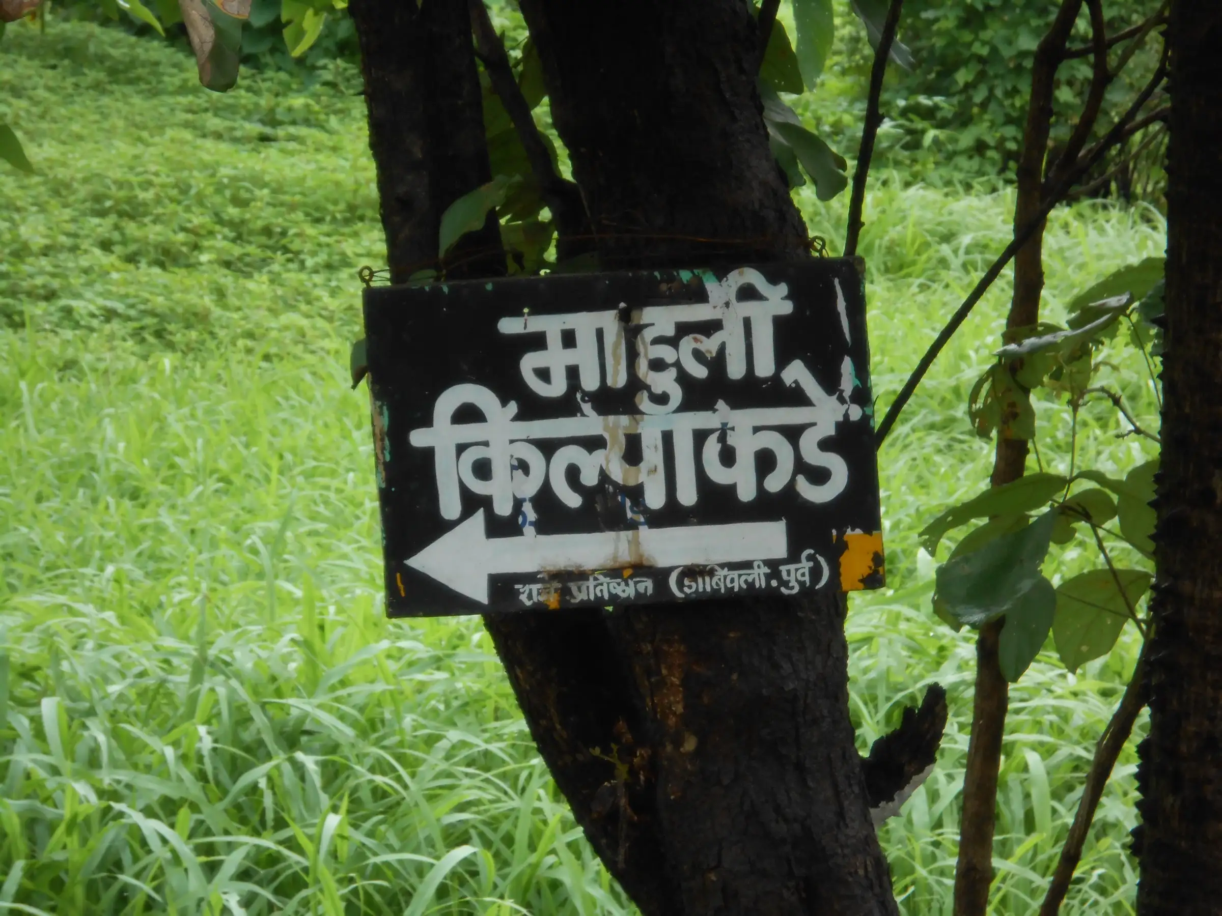 Marathi signboard on a tree pointing the way to Mahuli Fort, with green grass behind