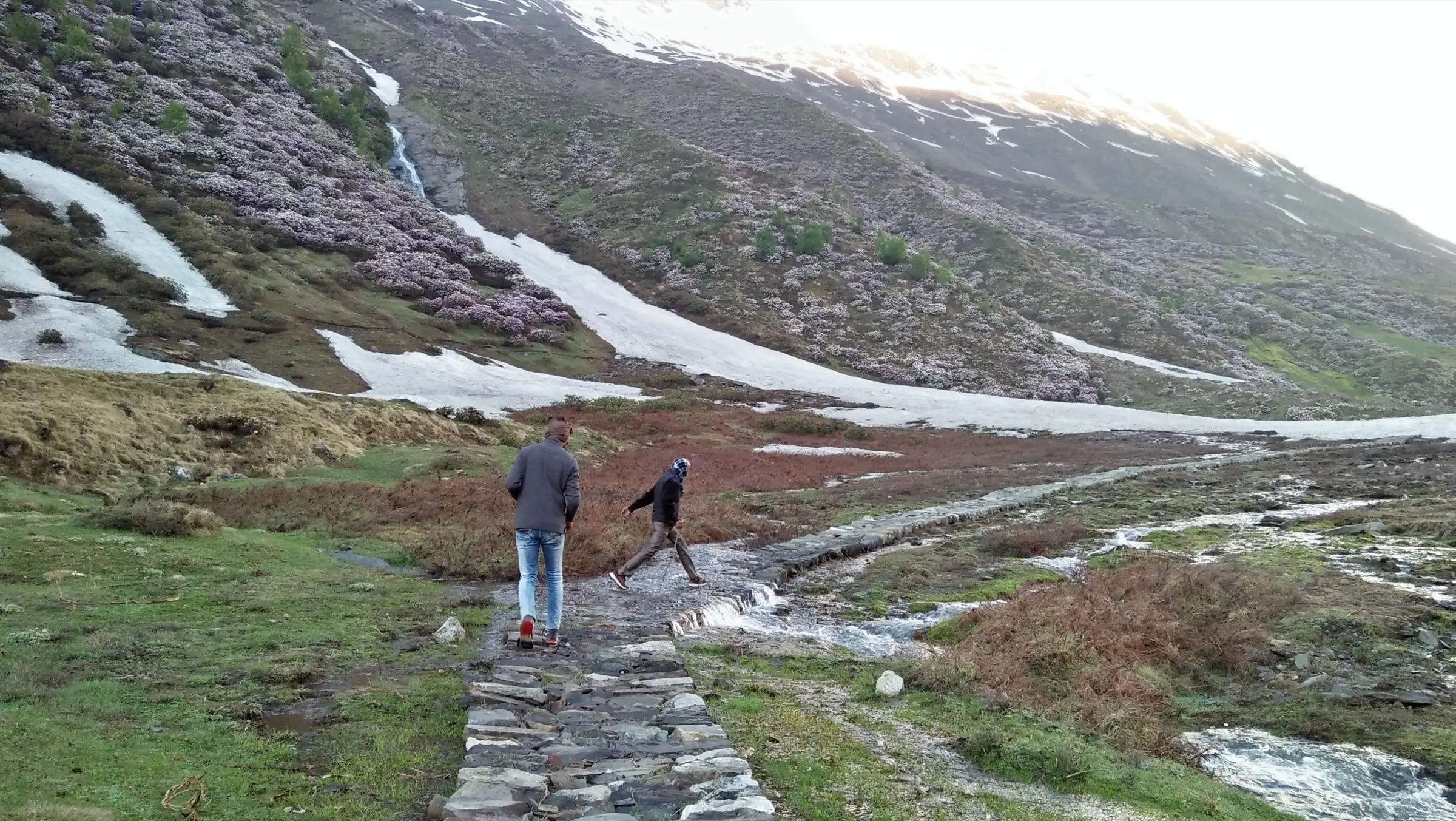 Two trekkers on a stone-paved path crossing a stream, with snow patches and flowering rhododendron slopes on the Panchachuli trail in June