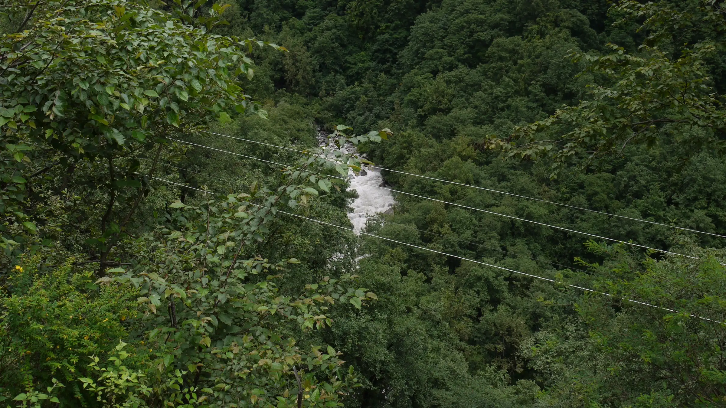 A white-water stream in a densely forested gorge seen from the Pulna-Bhyundar trail in the monsoon
