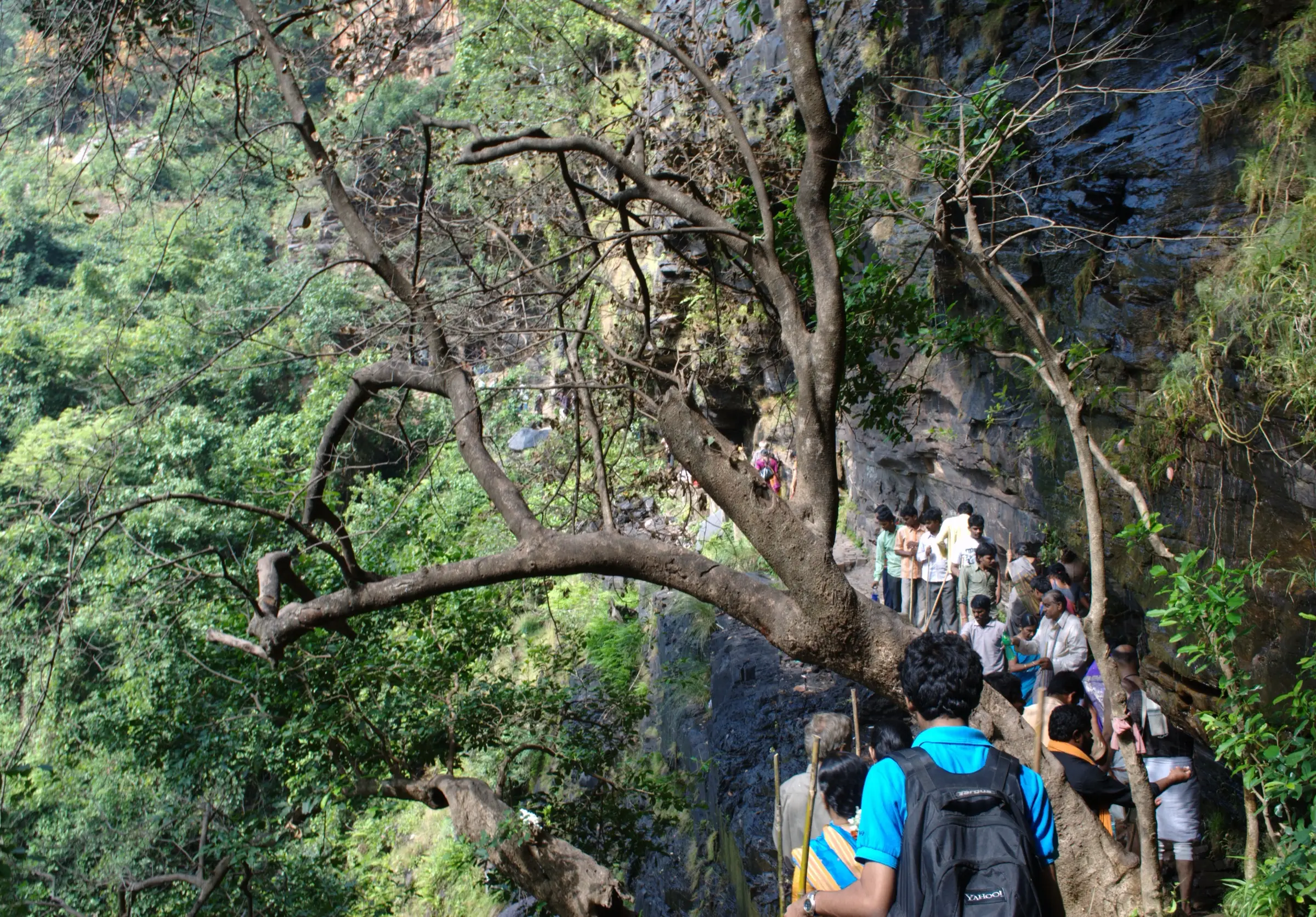 Line of trekkers with sticks on a narrow path along a rock cliff through forest on the trek to Ugra Stambham