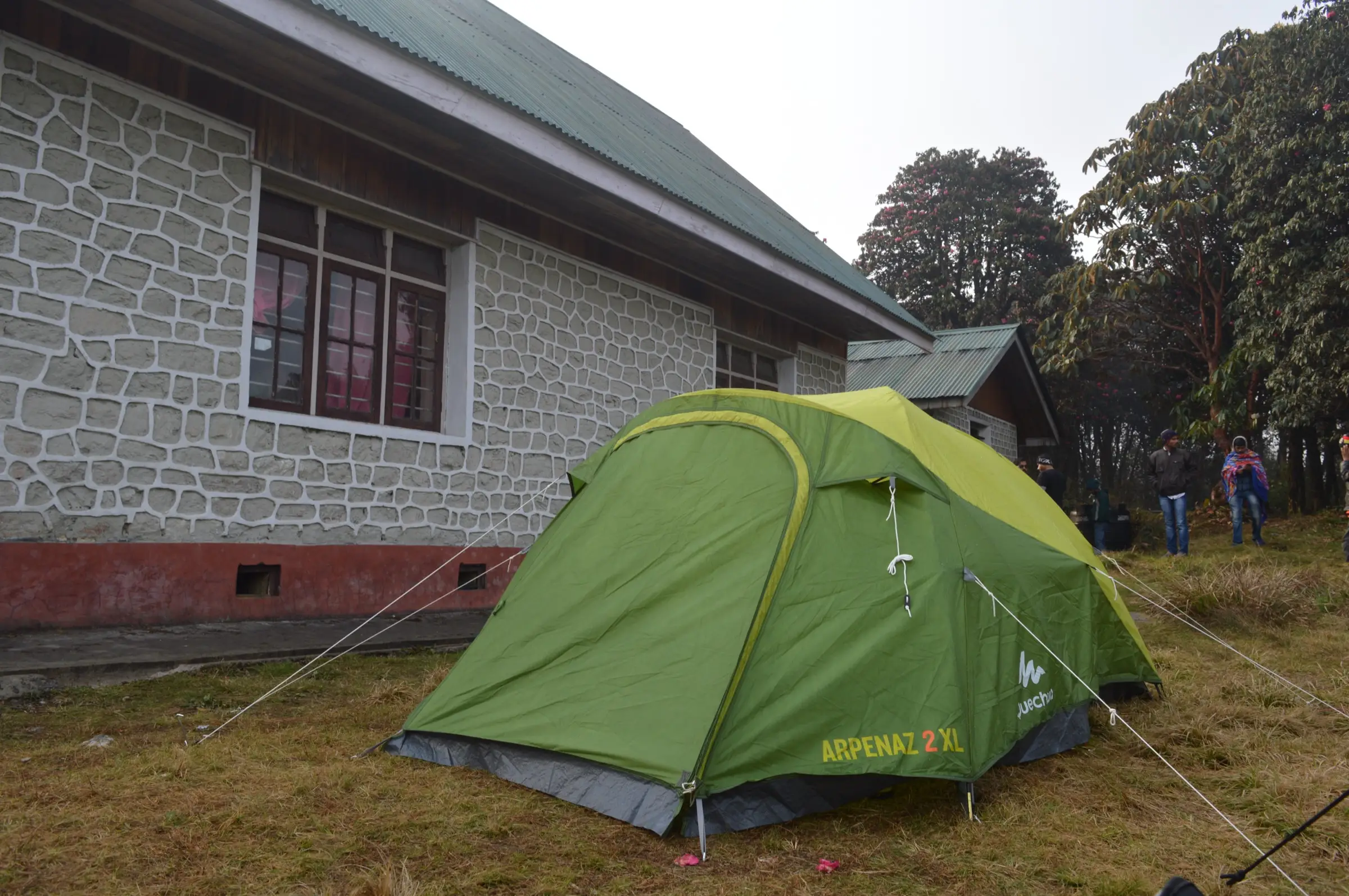 A green tent pitched on grass beside the stone-walled Varsey trekkers' hut, with rhododendron trees behind