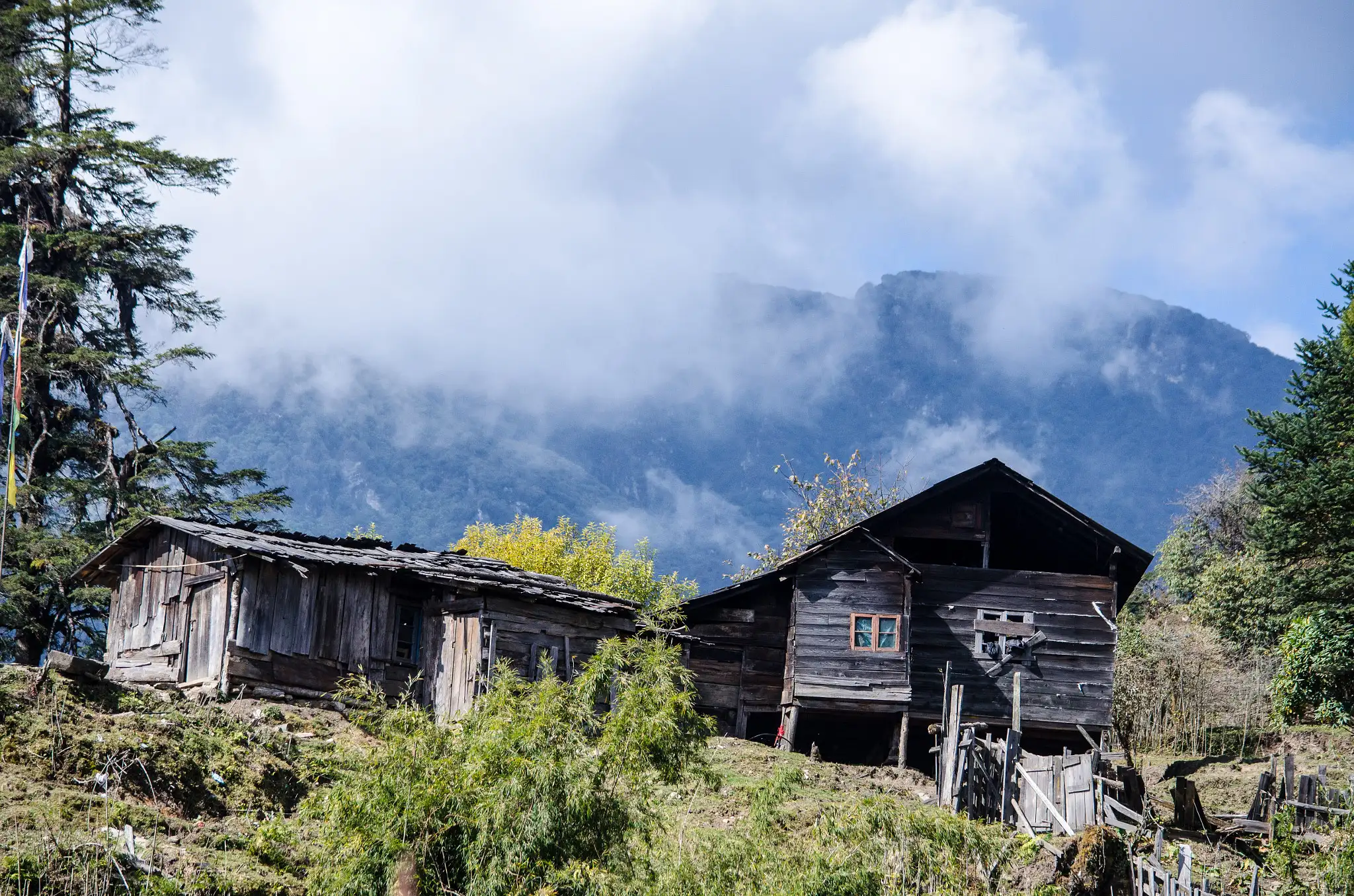 Old wooden huts at Tshoka on a grassy slope below a cloud-wrapped forested mountain