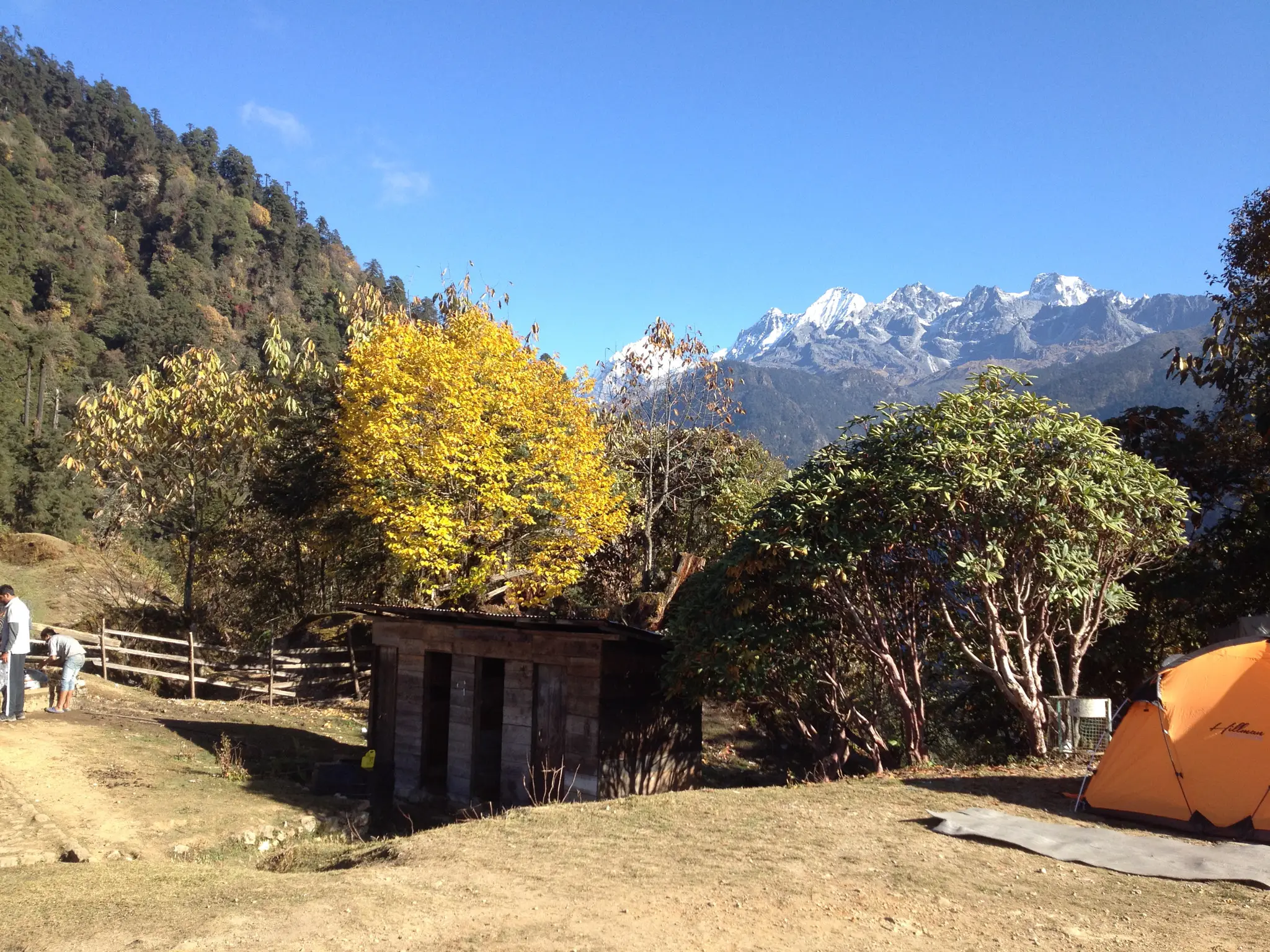 Tshoka campsite with a yellow autumn tree, rhododendrons, an orange tent and snow peaks under blue sky