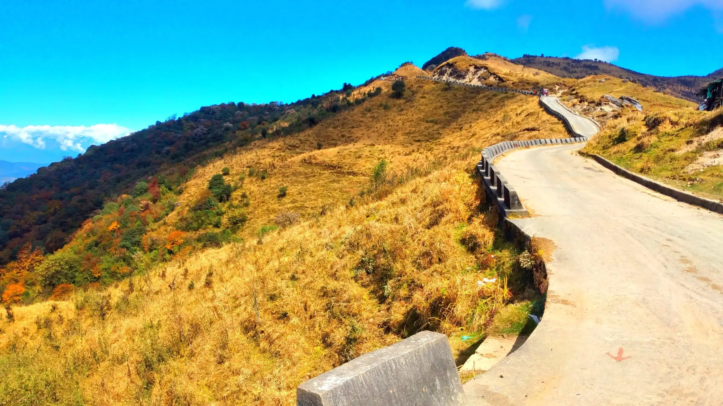 Sunlit ridge road through golden grass at Tumling on the way to Sandakphu